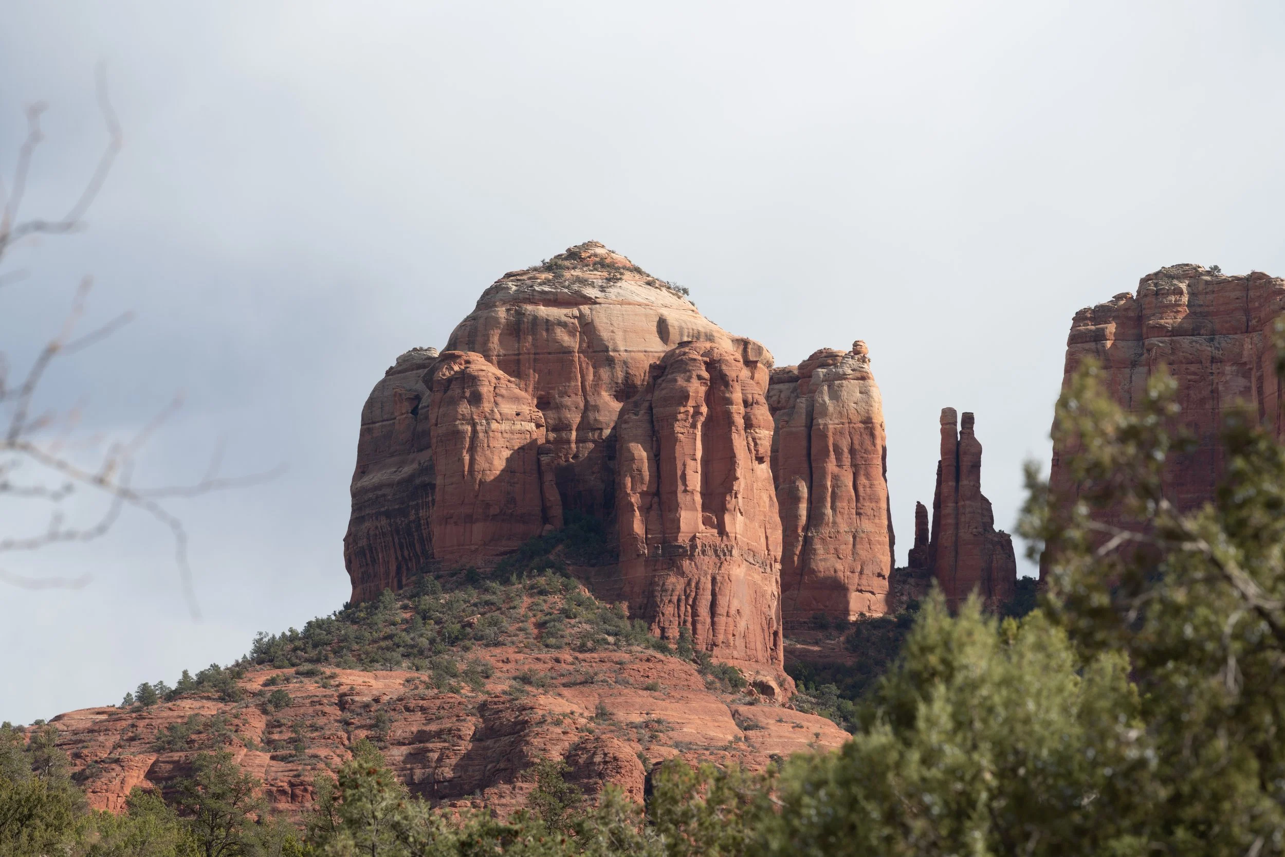 DSC_0230.jpg