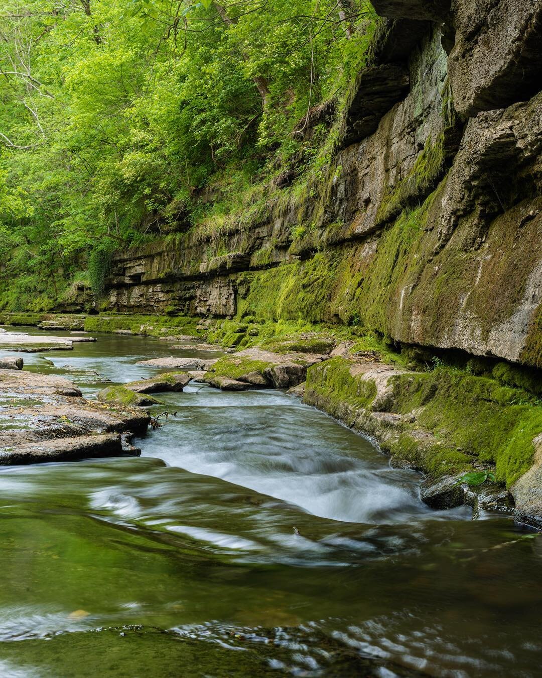When a place exceeds your expectations👍.
.
#creek #lowerhowardscreek #waterfall #waterfallwednesday #kyhikes #hiking #clarkcountyky #travelky #kentuckyforkentucky  #kyproud #mysouthernliving  #bluegrass