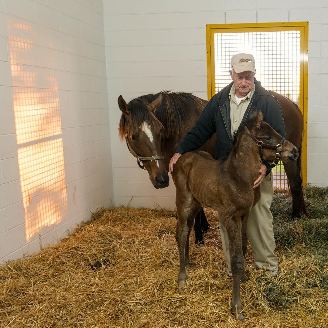 I thoroughly enjoyed talking with and taking this photo of James, who's with Profess and her new American Pharoah foal at Claiborne Farm. James has been in the business there for 51 years. We swapped horse stories. He has quite a few more than me.
.
