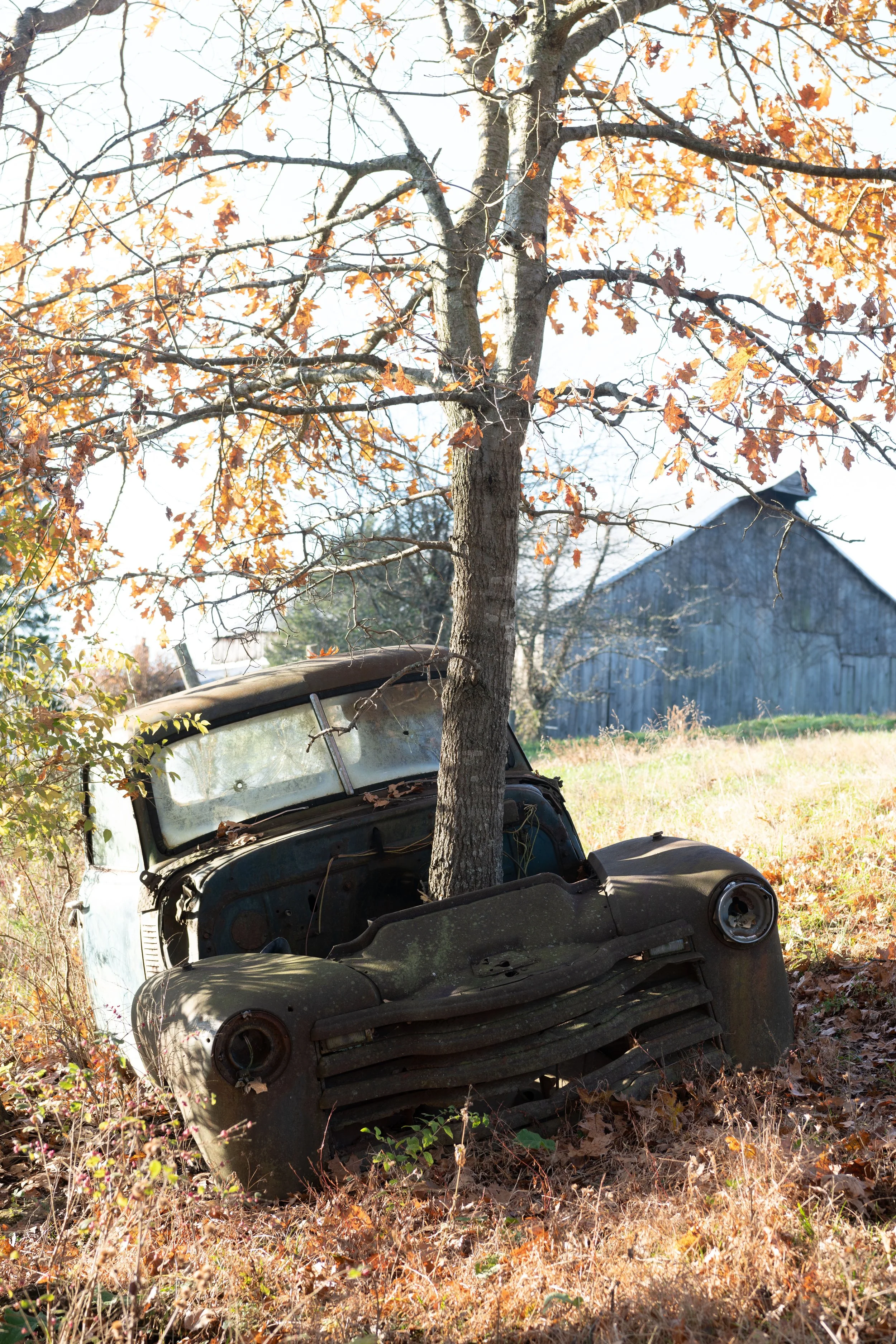 DSC_7364-2.jpg