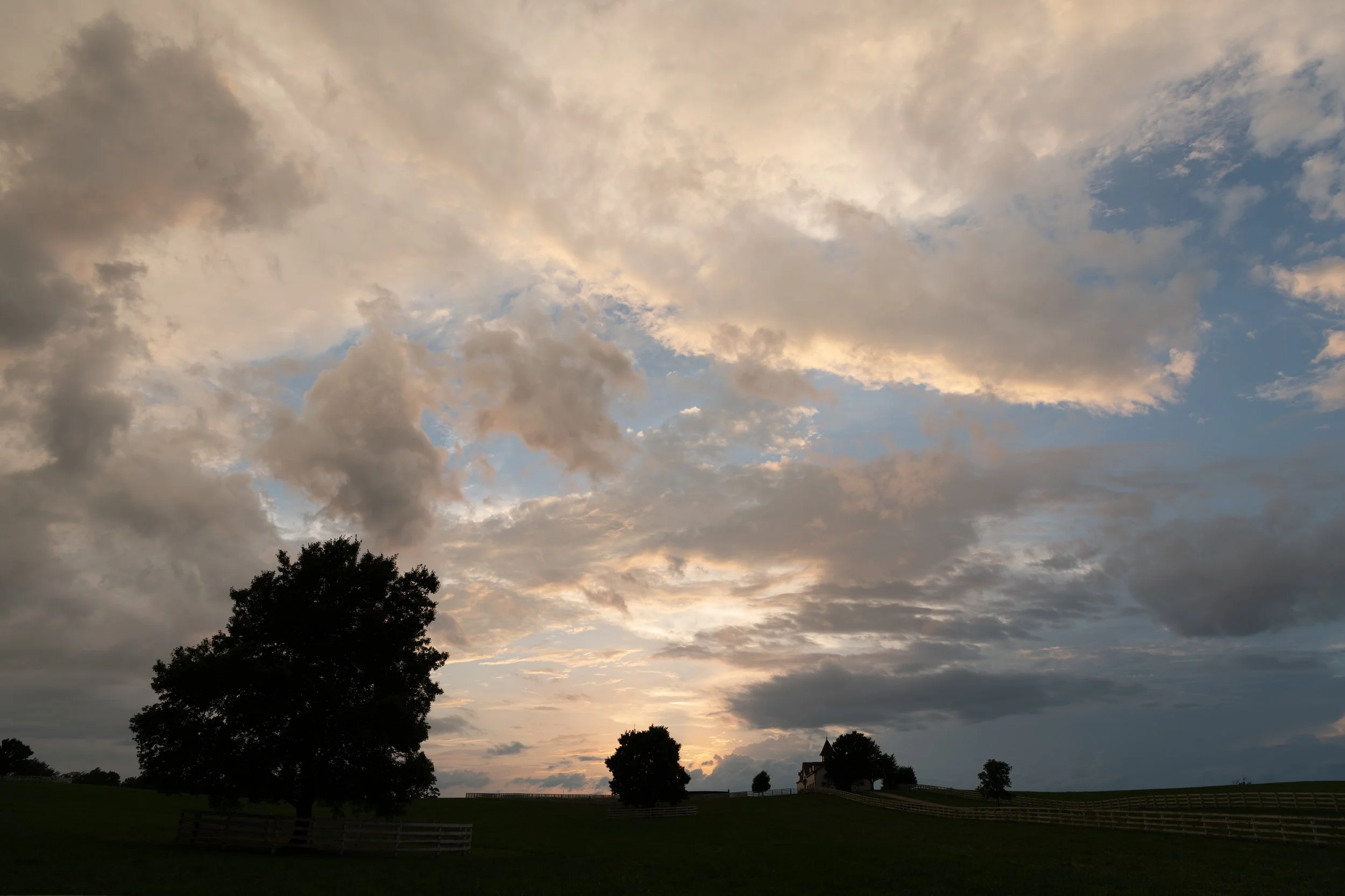 DSC_9235.jpg