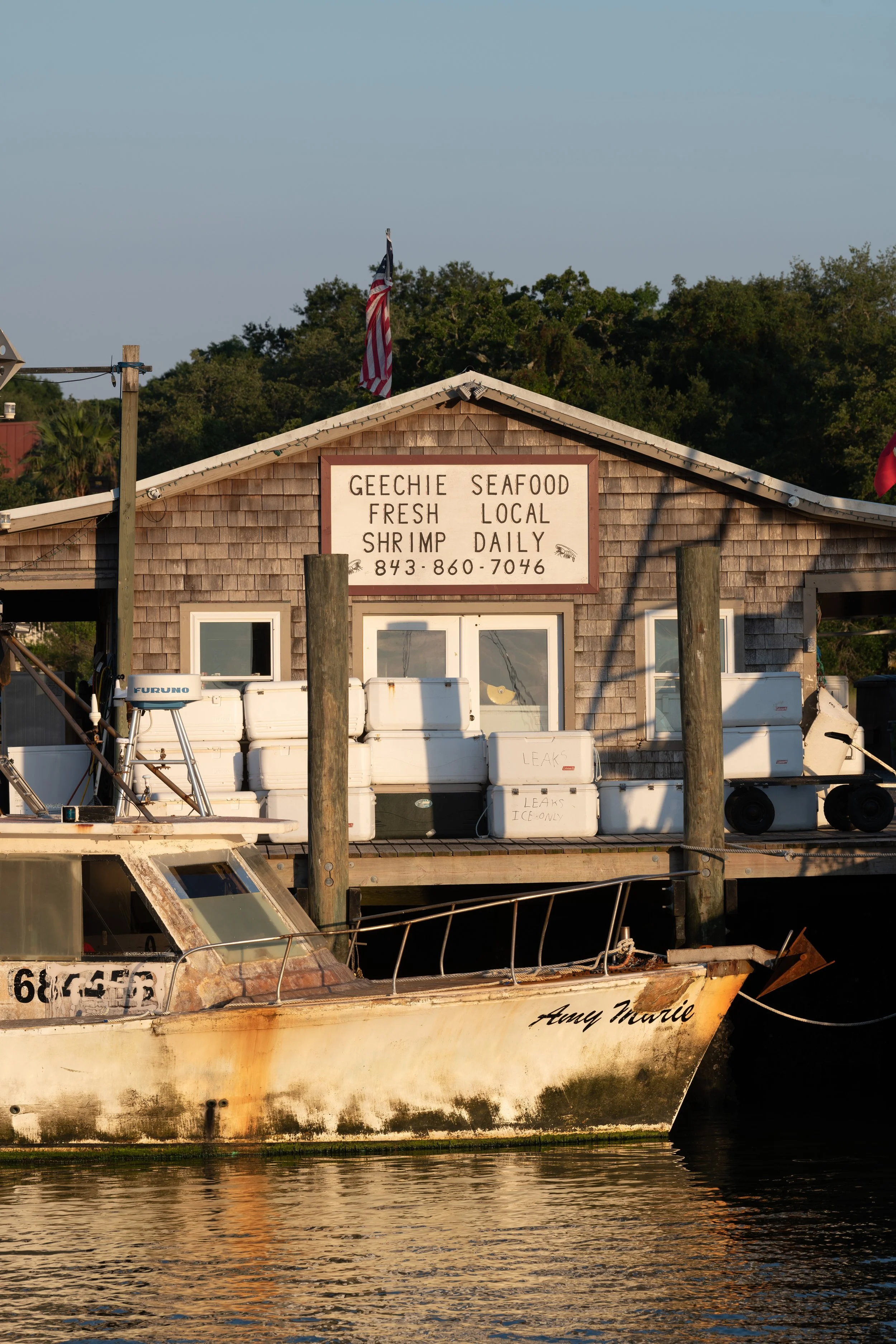 DSC_8678.jpg