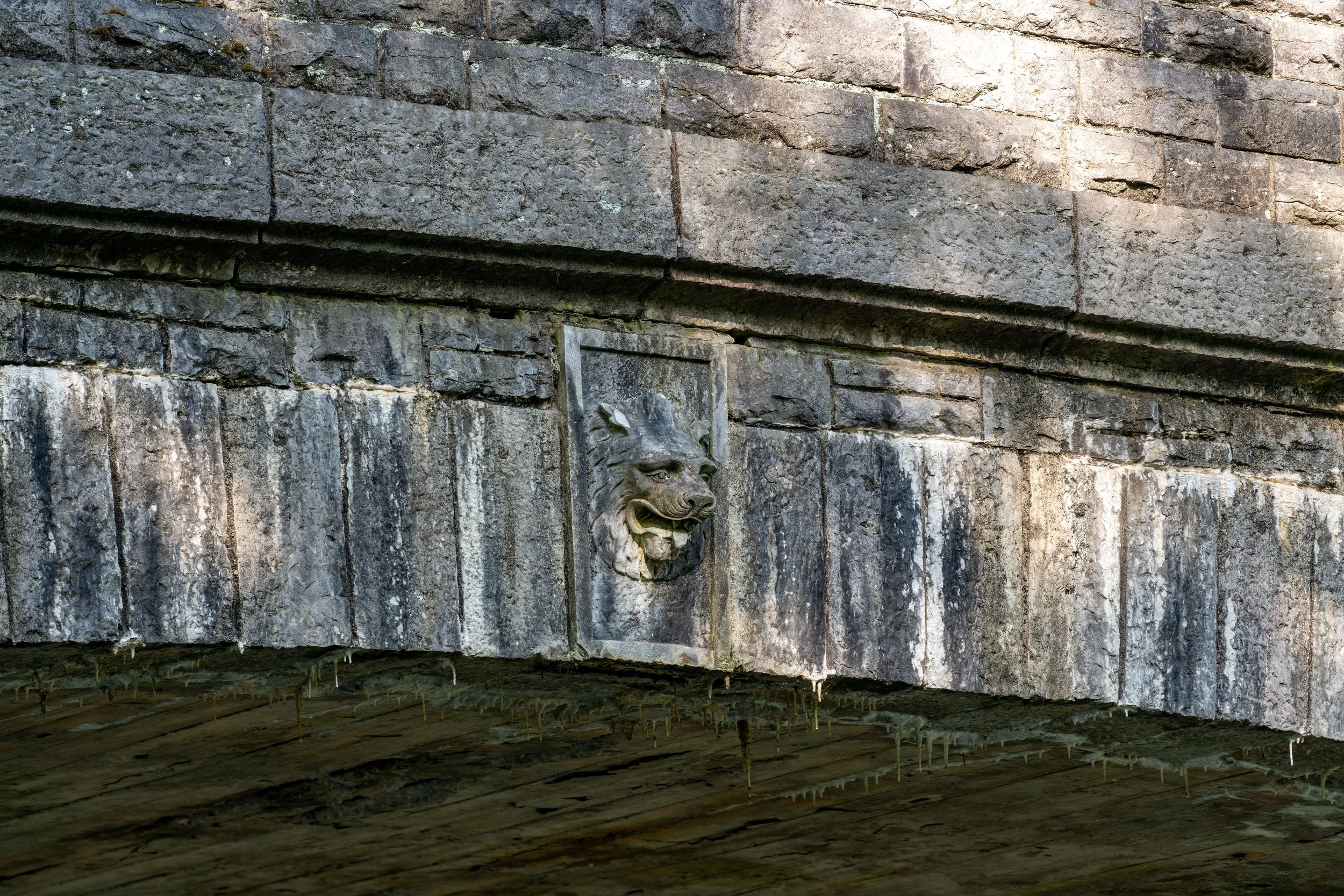 DSC_6166.jpg
