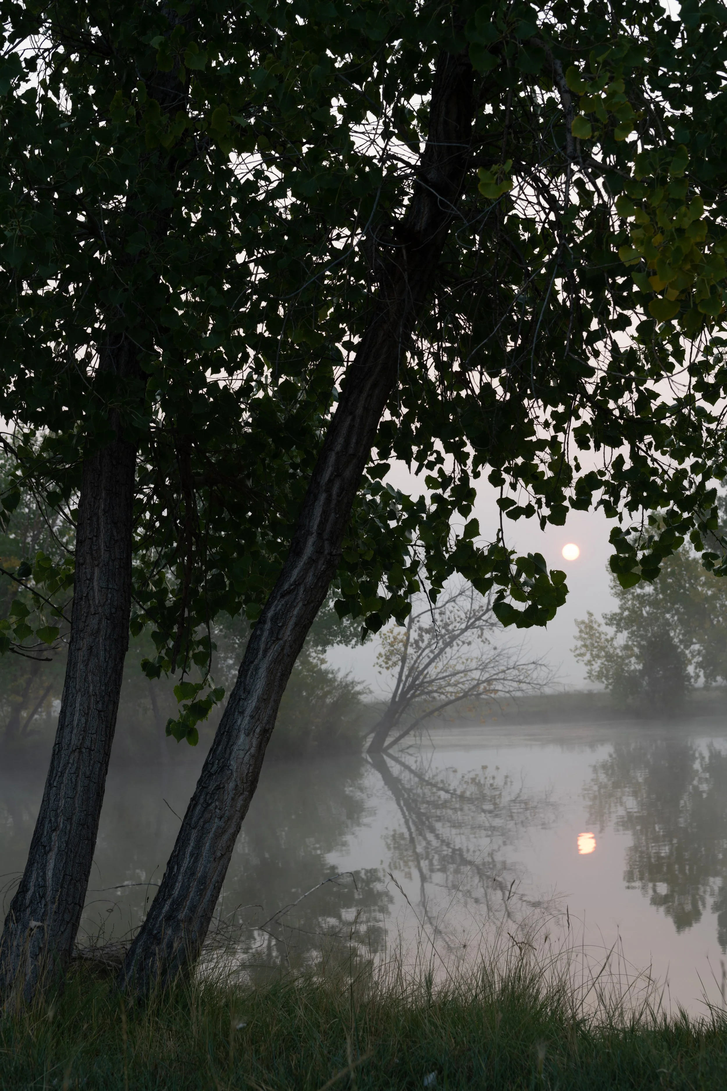 DSC_5603.jpg