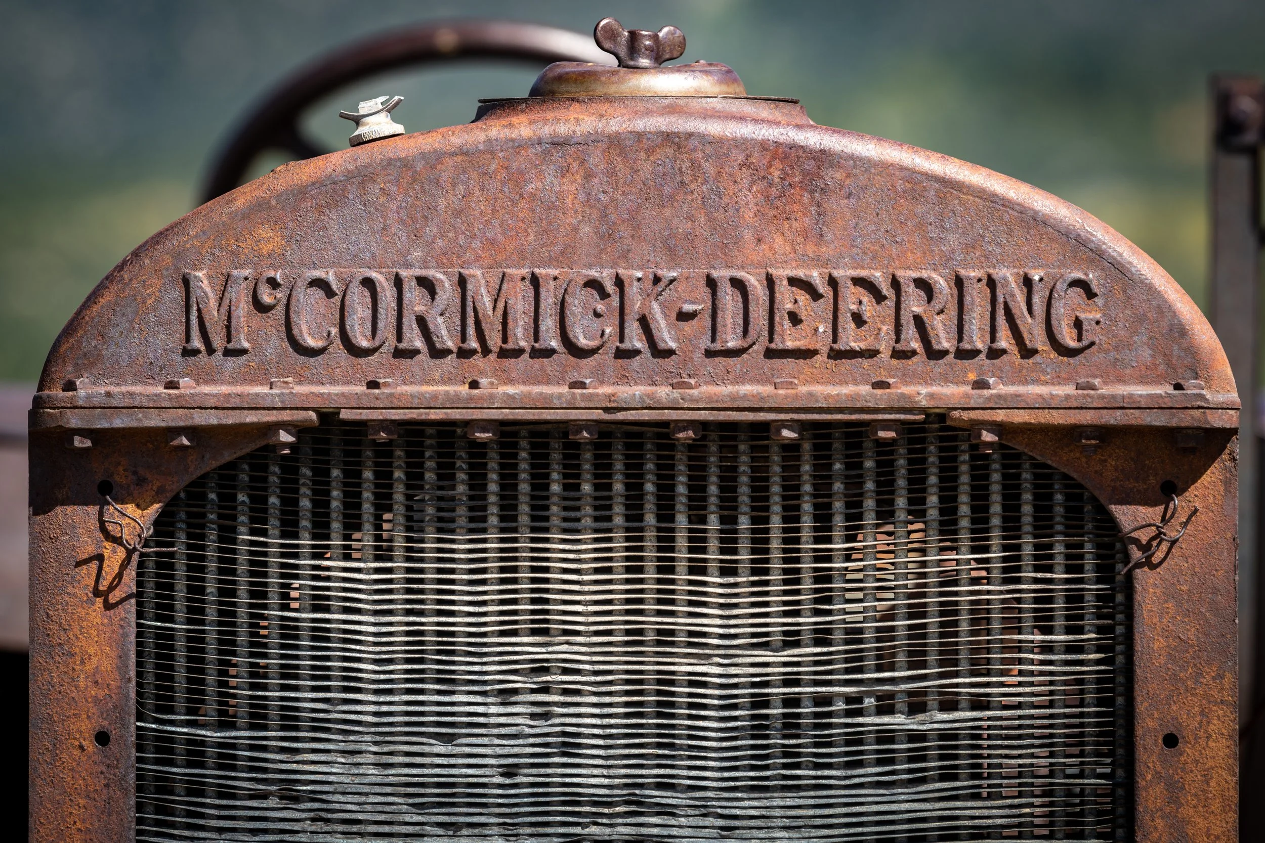 DSC_5943.jpg