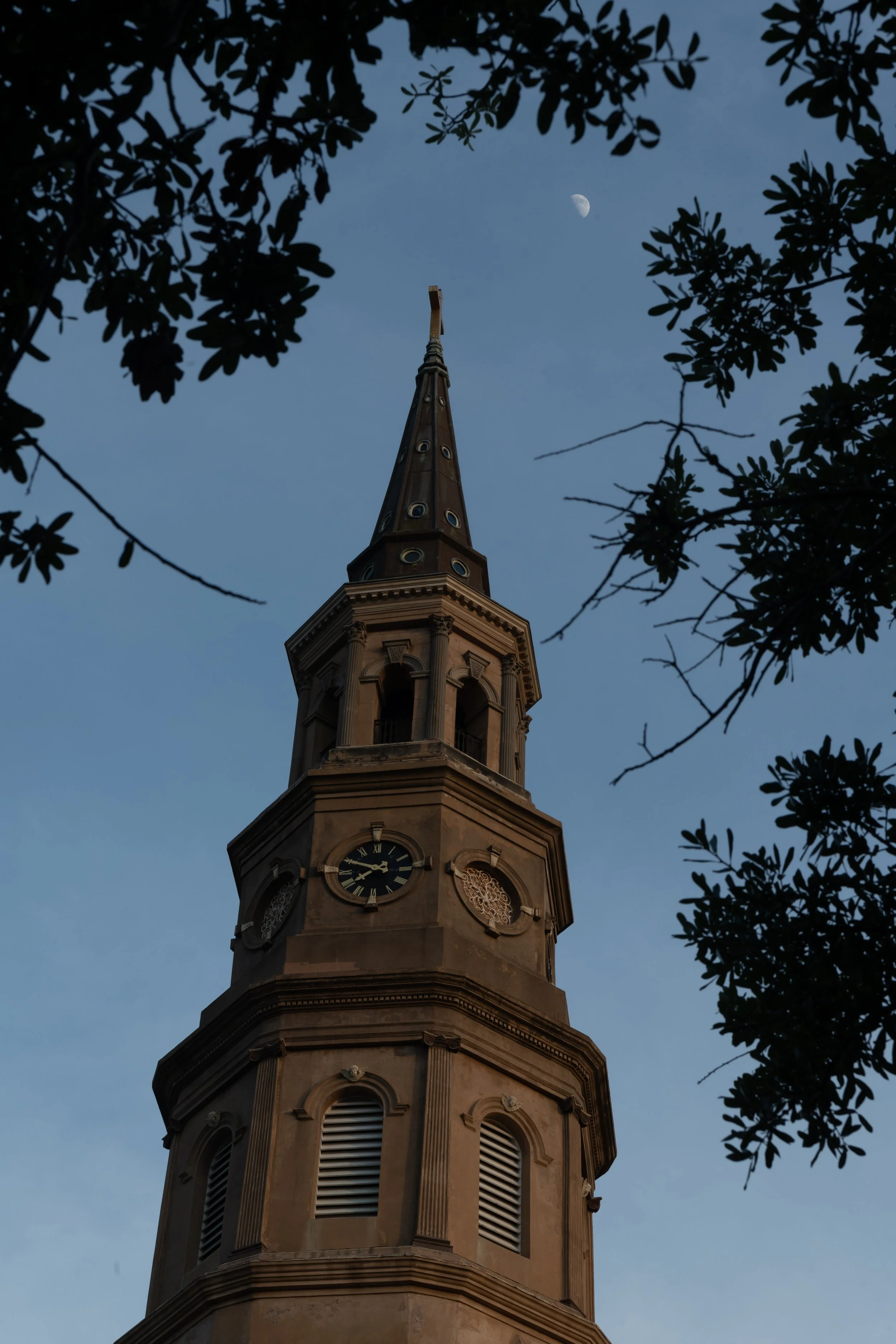 DSC_7373.jpg