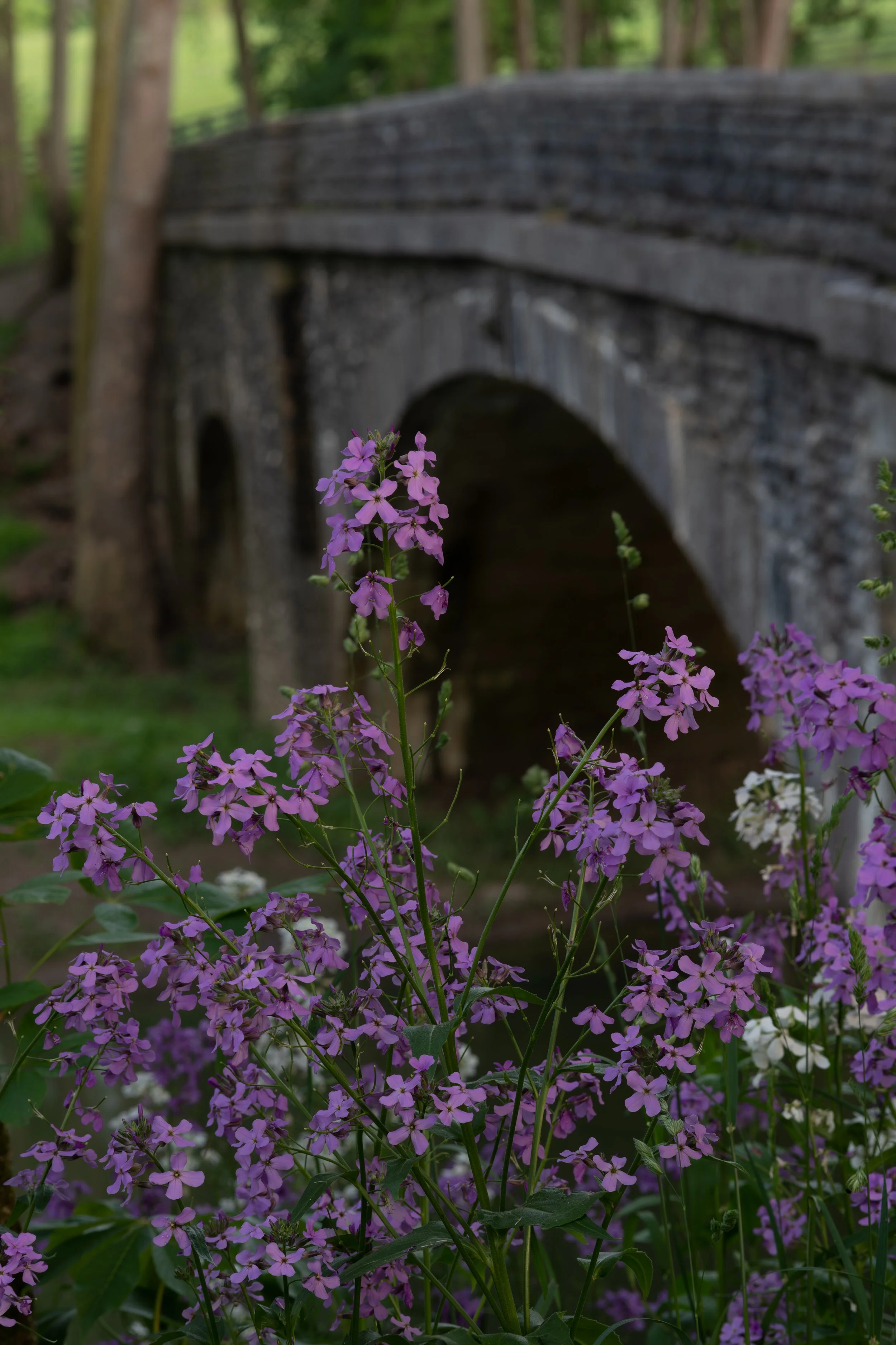 DSC_5200.jpg
