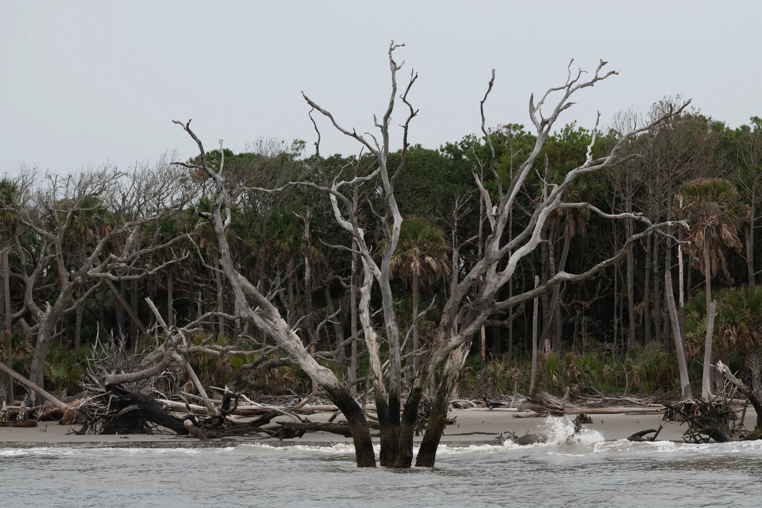 DSC_8947.jpg