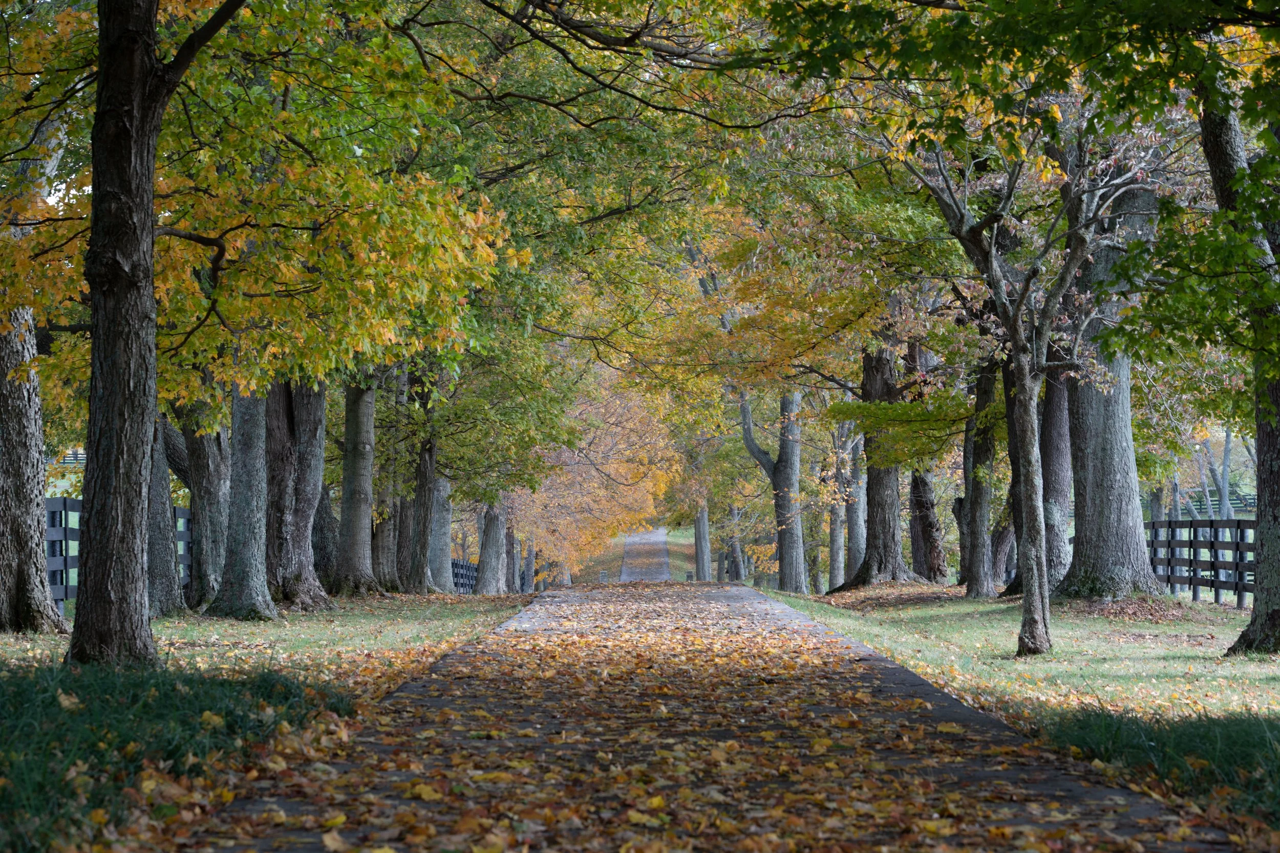 DSC_7175.jpg