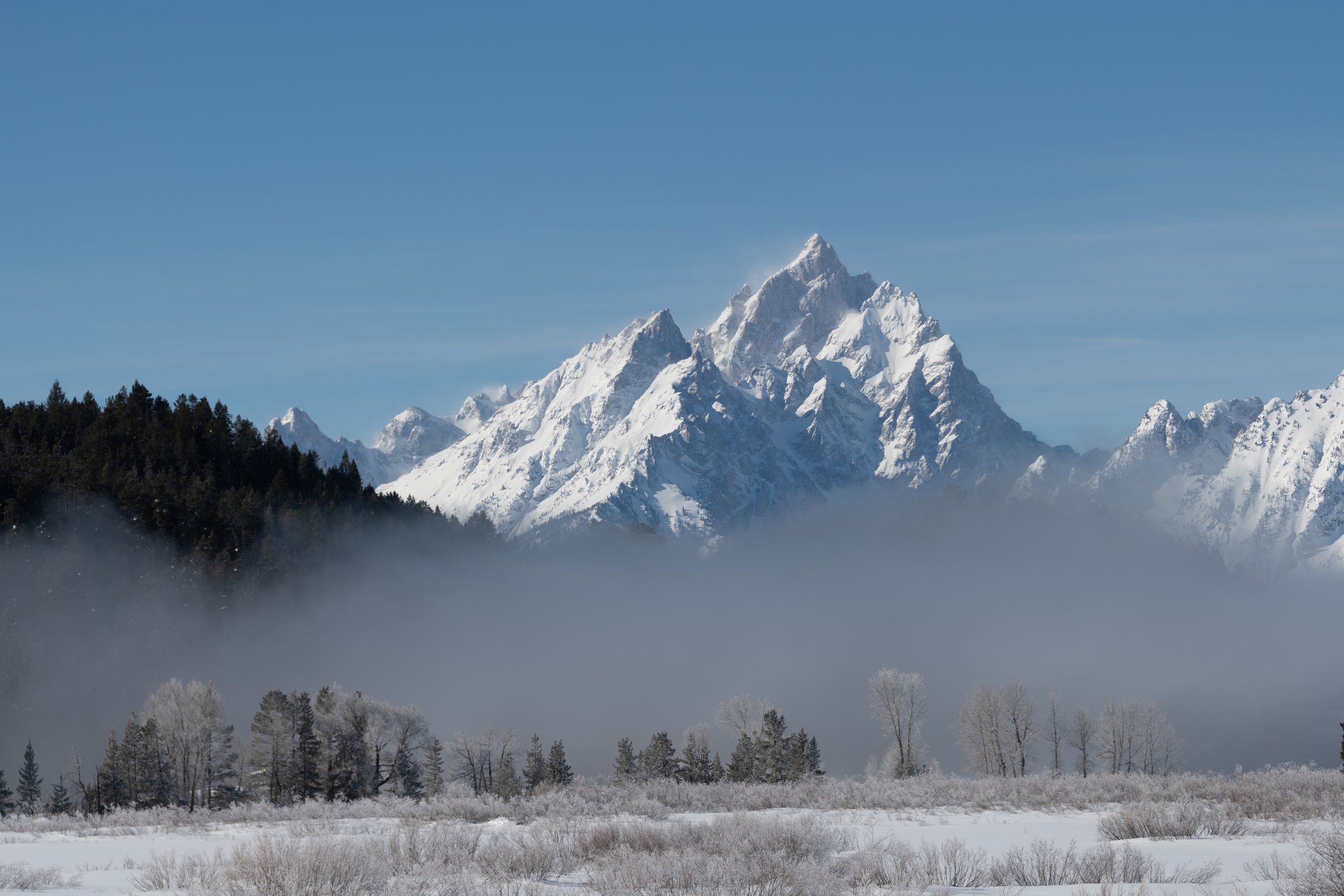 DSC_0910.jpg