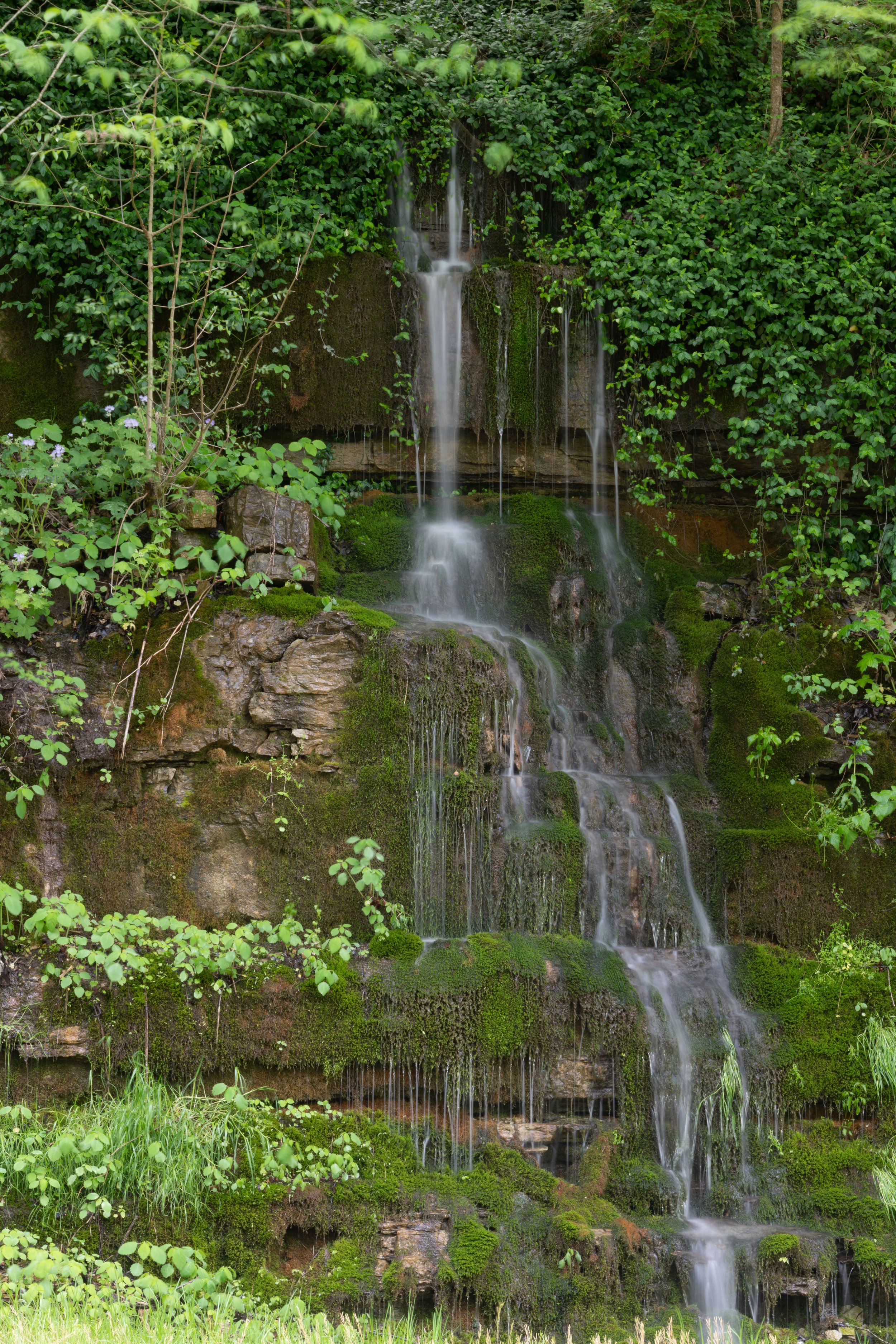 DSC_4613.jpg
