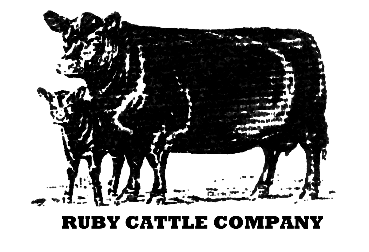Ruby Cattle Company