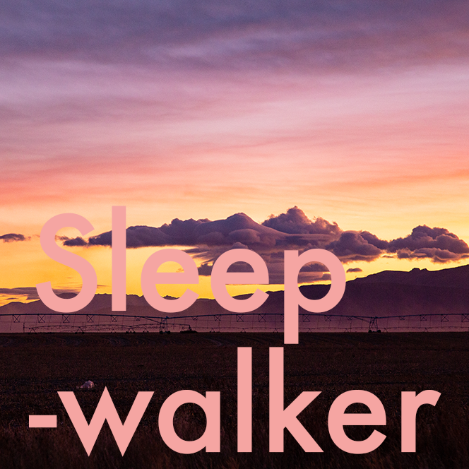 _MG_0596_sleepwalker_square.png
