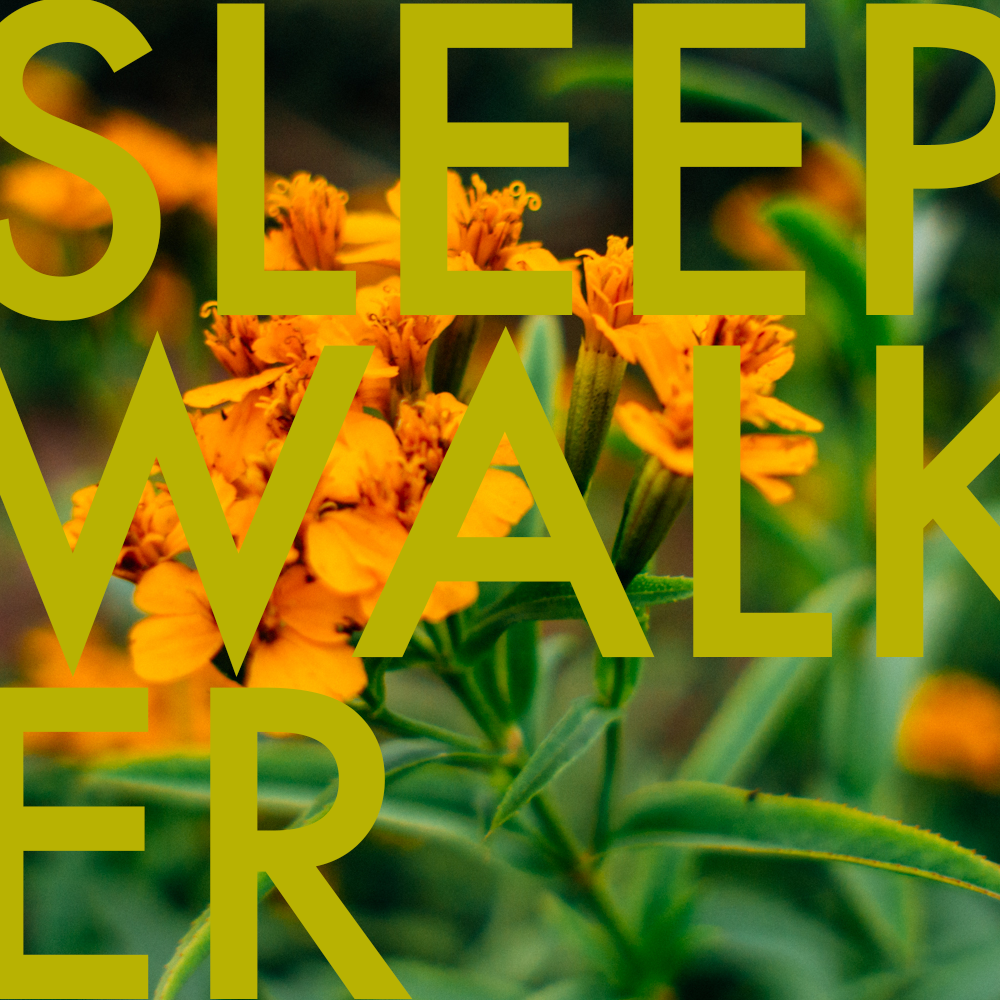 greenhouses-49_SLEEPWALKER.png