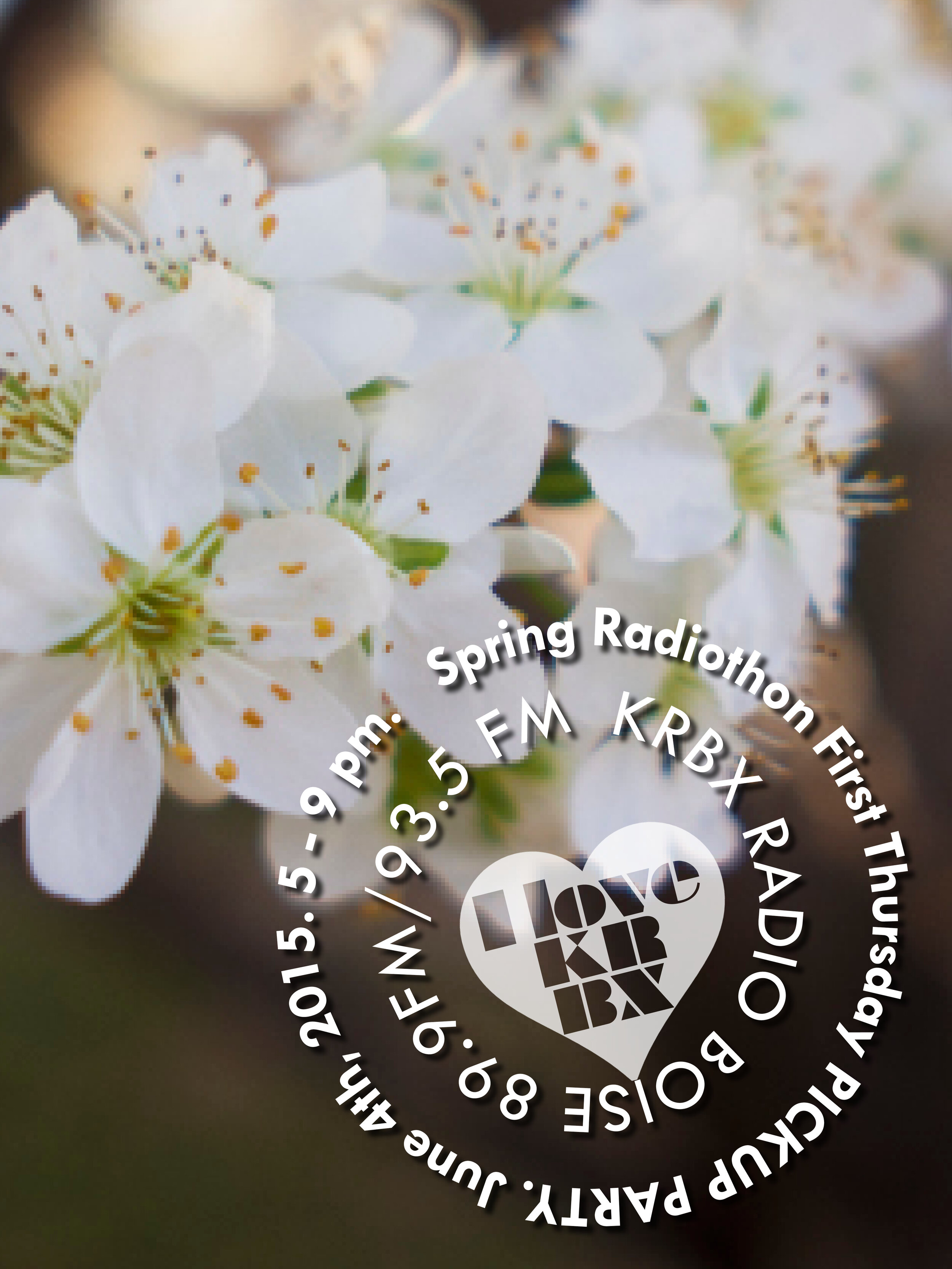 pickup_krbx_spring_plum.jpg