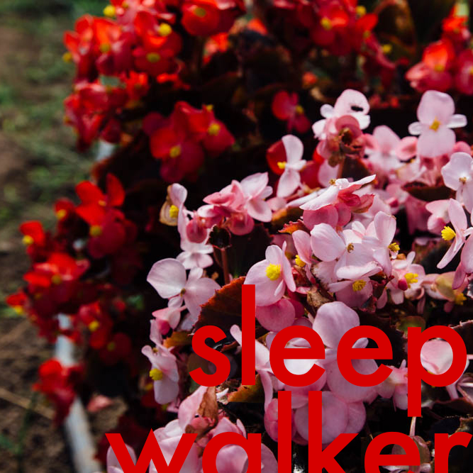 PSF_BFM Calendar_web-2_sleepwalker.png