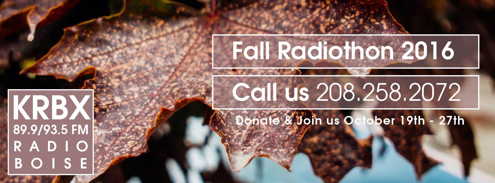 radiothon_cover2.jpg