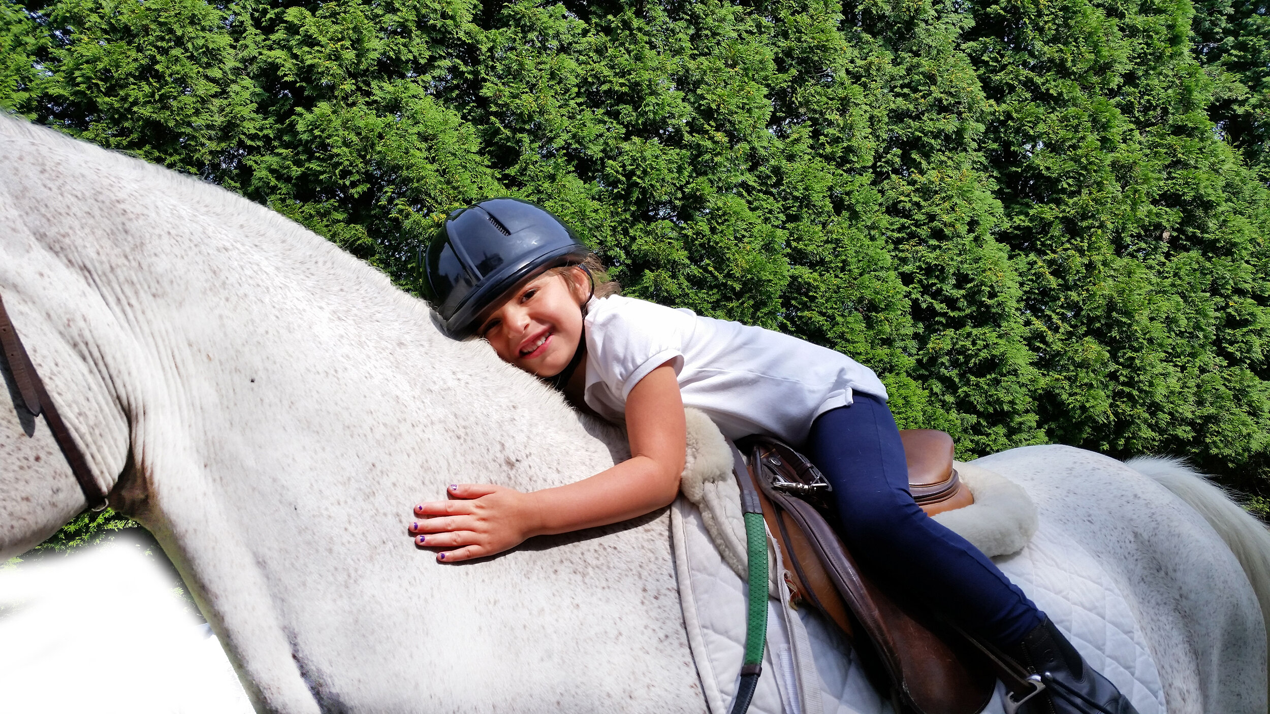 Center for Therapeutic Riding of the East End