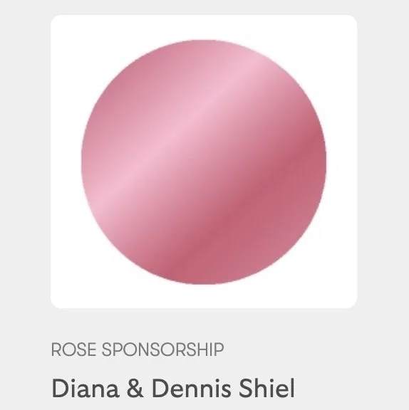shiel-rose.jpg