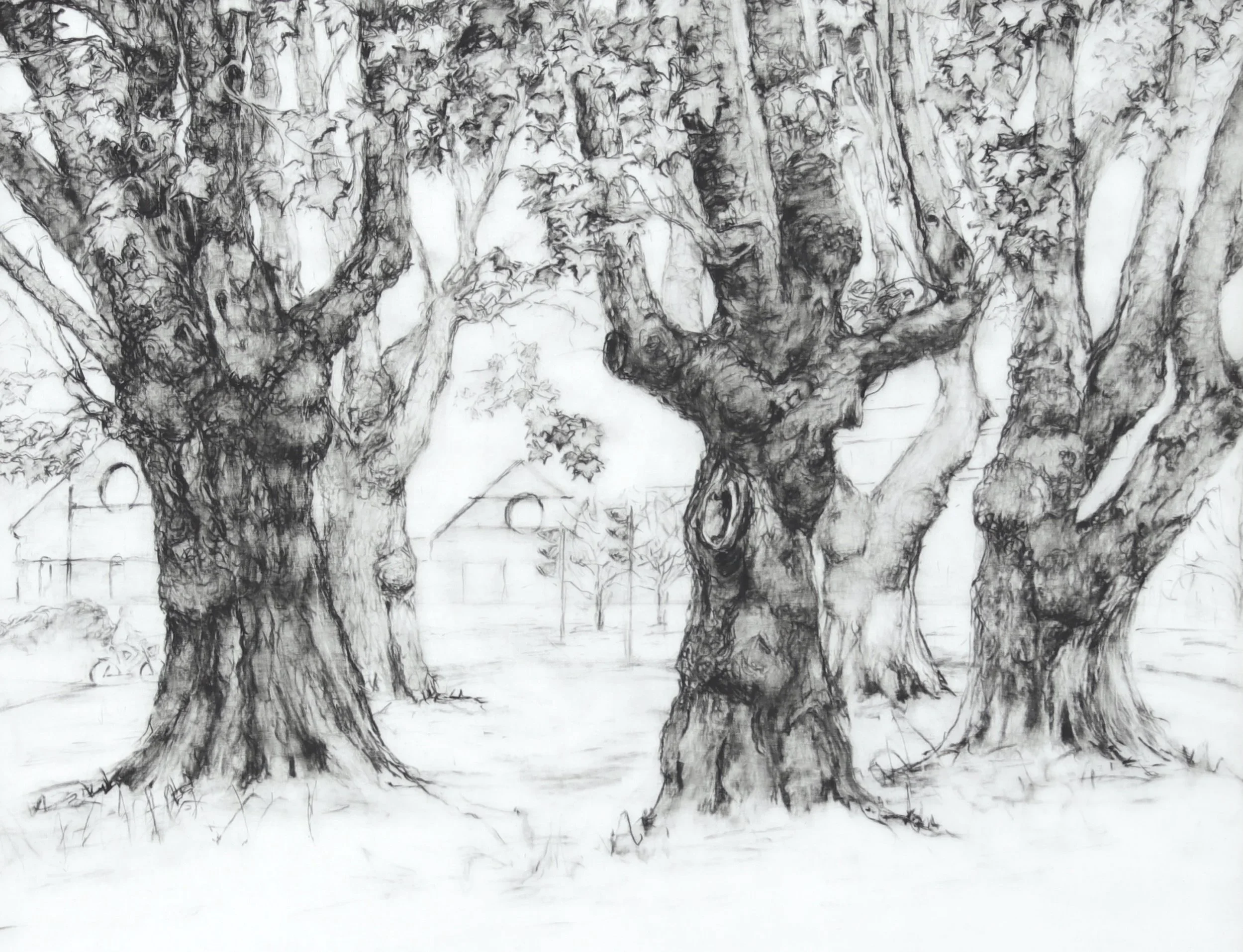 "At night  we dance" Conté on Mylar 