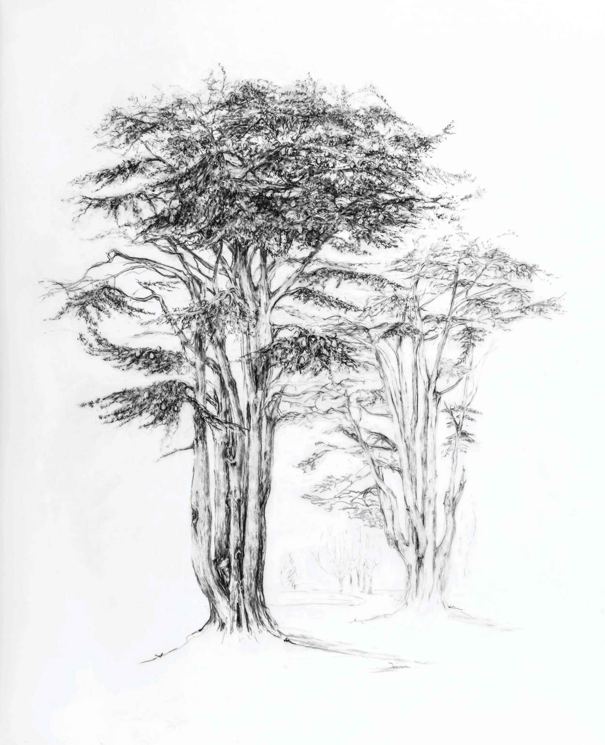 Guardians of the Little Ones
Conté and Graphite on Grafix