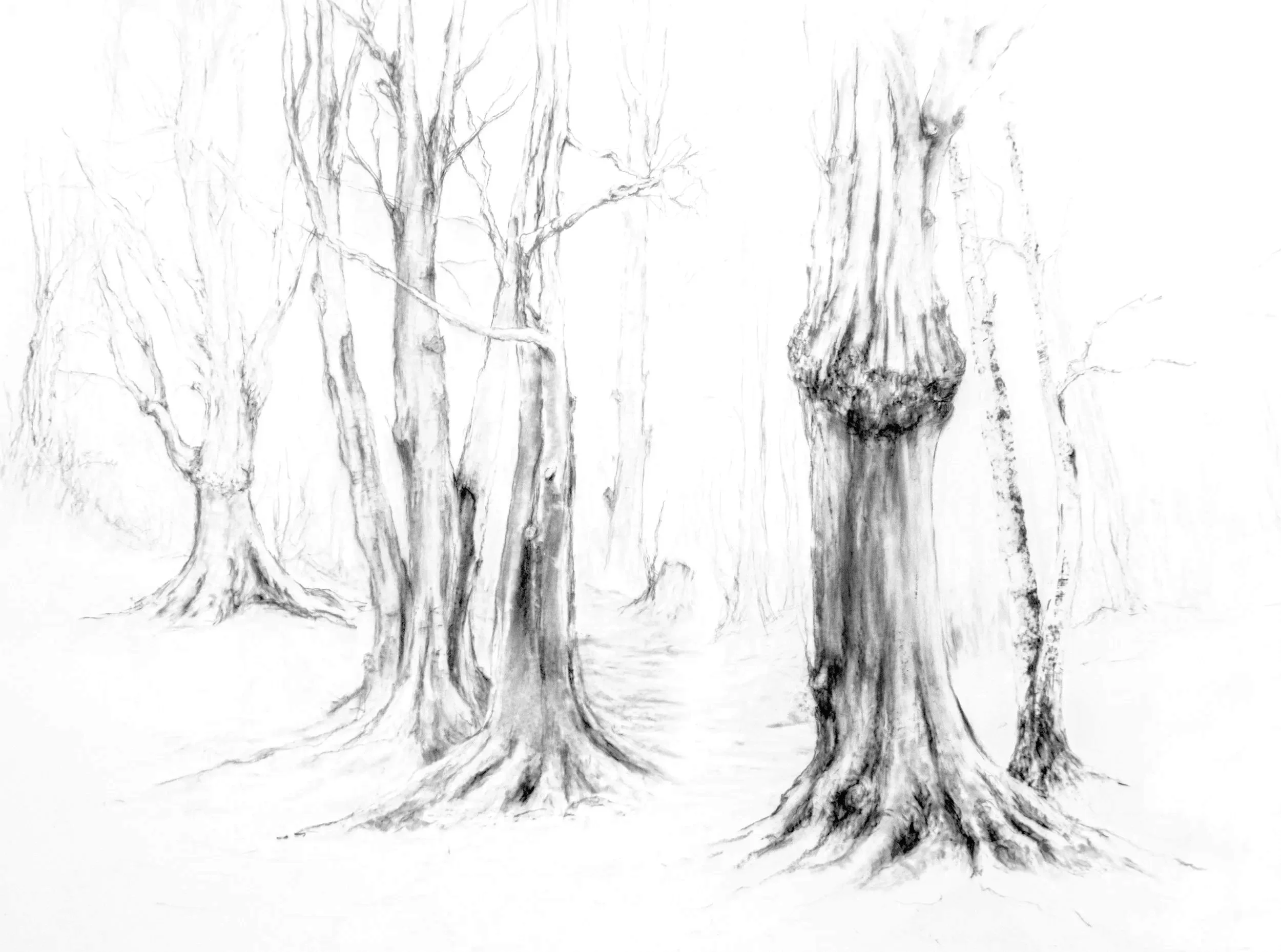 As the Mist Cleared. 
Graphite and Conté grafix