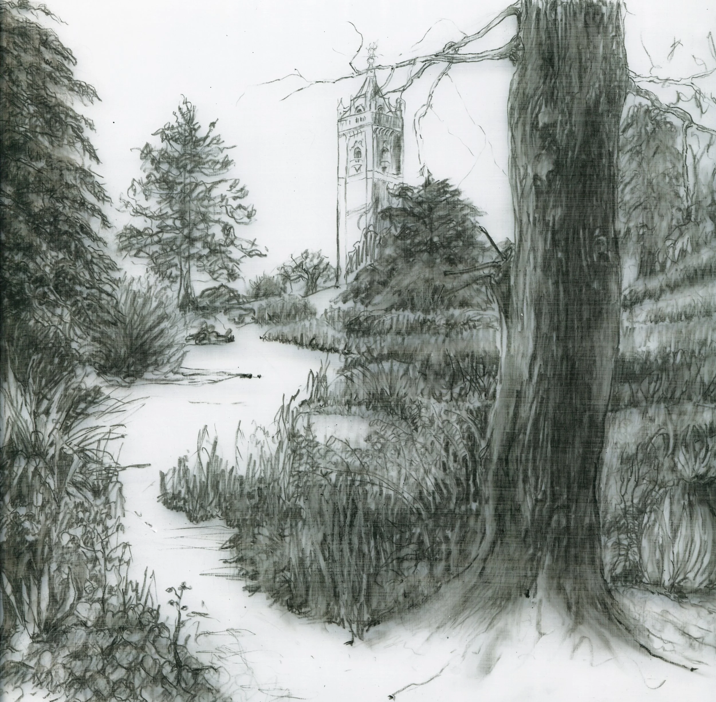 Tree Hugging on Brandon Hill Conté and graffiti on etched Mylar 