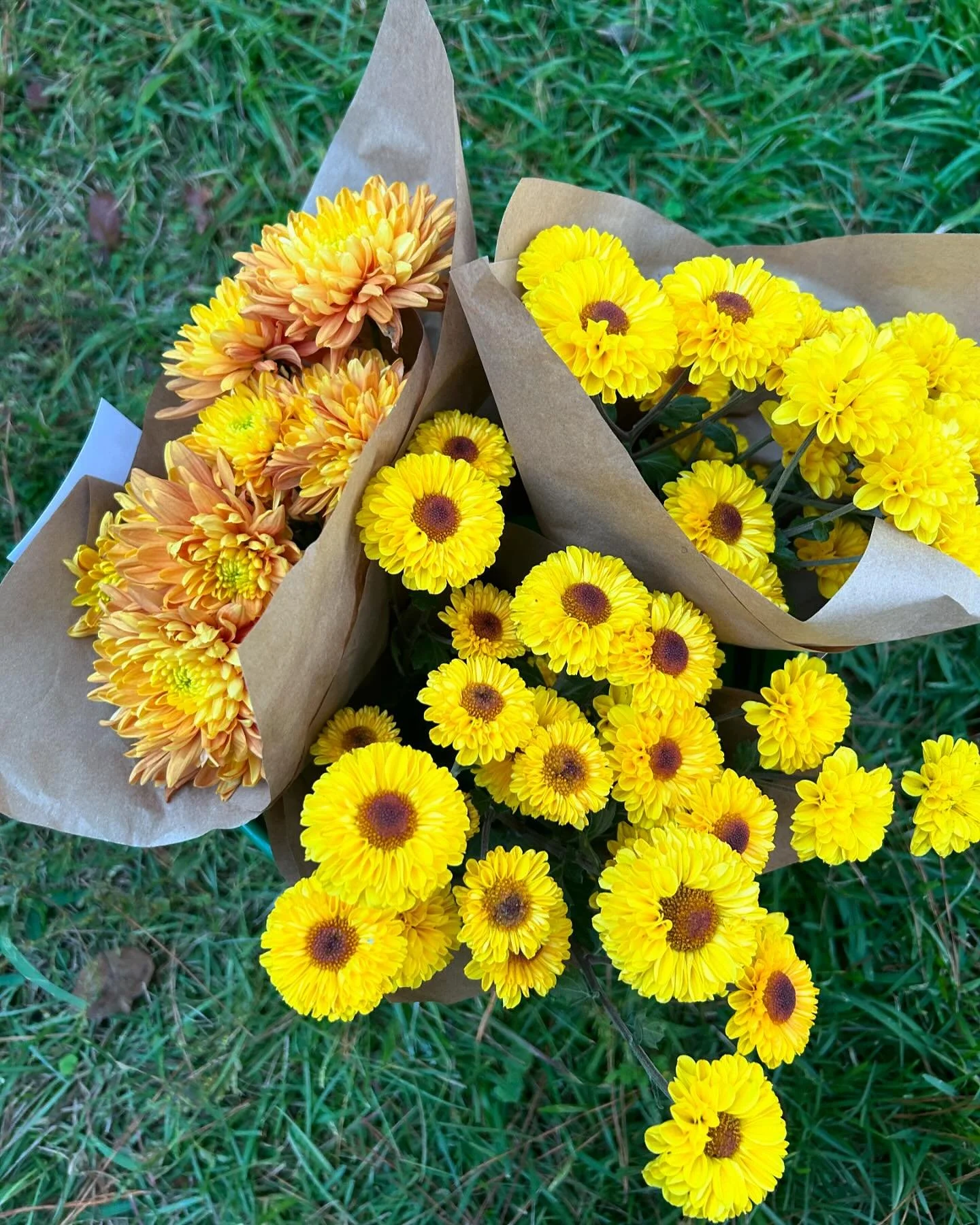WE HAVE THANKSGIVING MUM BOUQUETS! PREORDERS AVAILABLE 

IF YOU WOULD LIKE TO PICK OUT YOUR OWN COLORS-COME TO OUR BOUQUET BAR SATURDAY &amp; SUNDAY @thehareandthehart 

WE WILL HAVE PRE ORDERE AVAILABLE FOR PICKUP DOWNTOWN @thehareandthehart Friday-