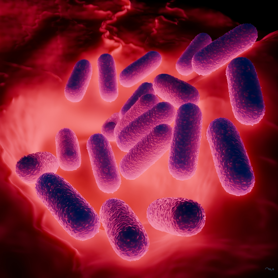 The Oral Microbiome: What’s Living In Your Mouth and Why It Matters