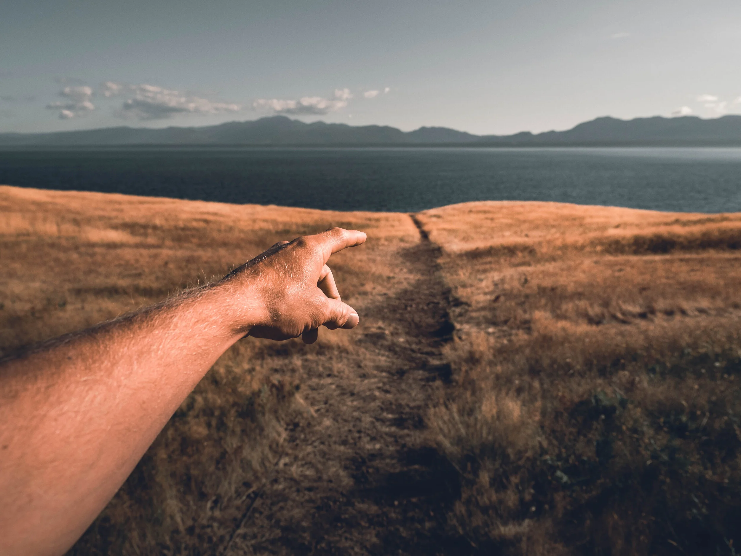 HandGrass1 (1 of 1).jpg