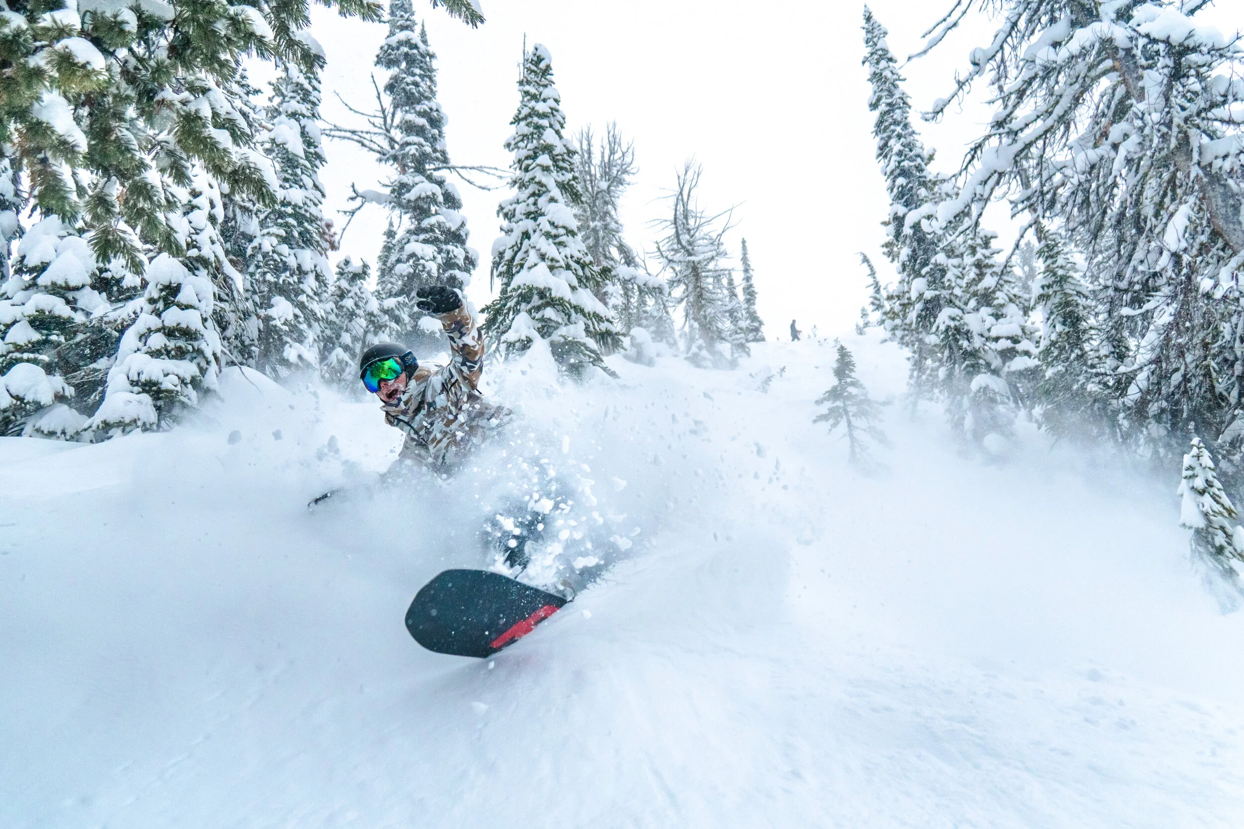 TristanPOWPOW (1 of 1).jpg