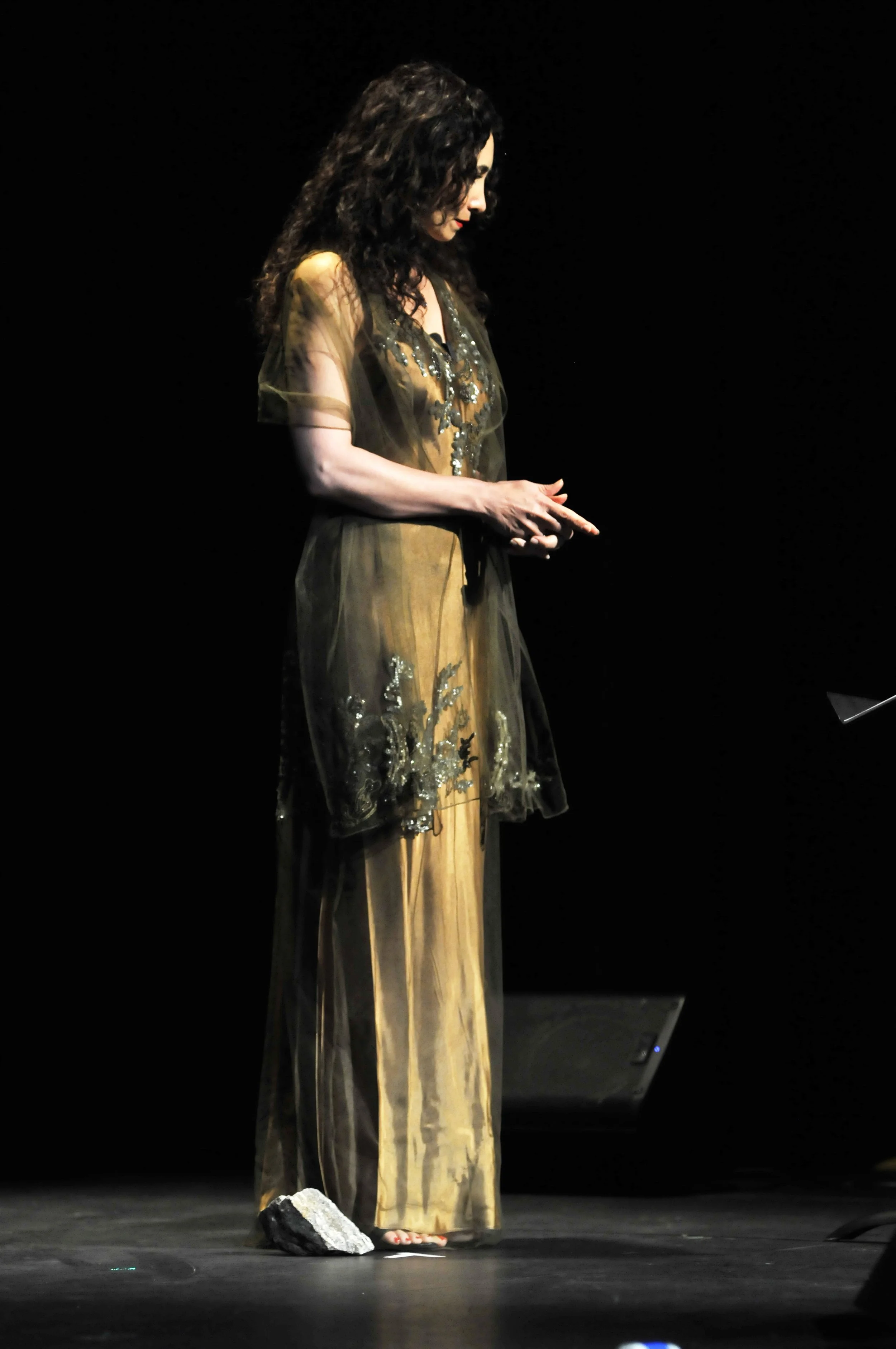 Woman with curly dark hair standing on stage against a black background, wearing a sheer embroidered dress over a shiny gold gown, with her hands clasped in front of her.