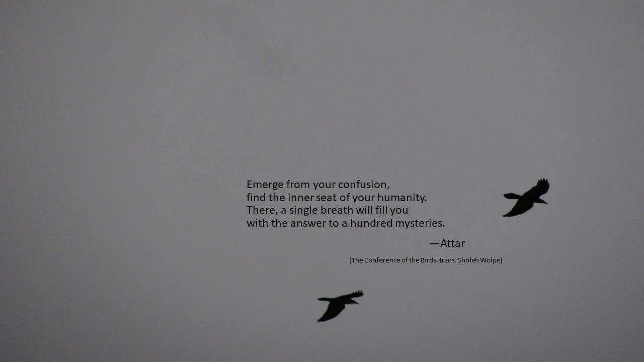 Two birds flying in the sky with a quote and attribution in the center. The quote reads: "Emerge from your confusion, find the inner seat of your humanity. There, a single breath will fill you with the answer to a hundred mysteries."