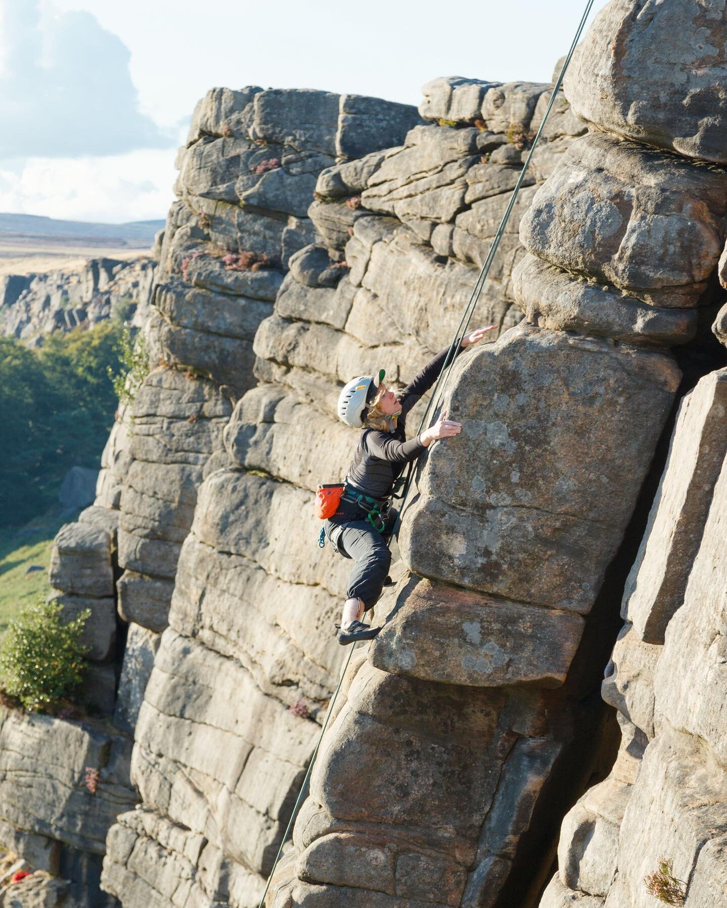 True Palisade Climber лестница