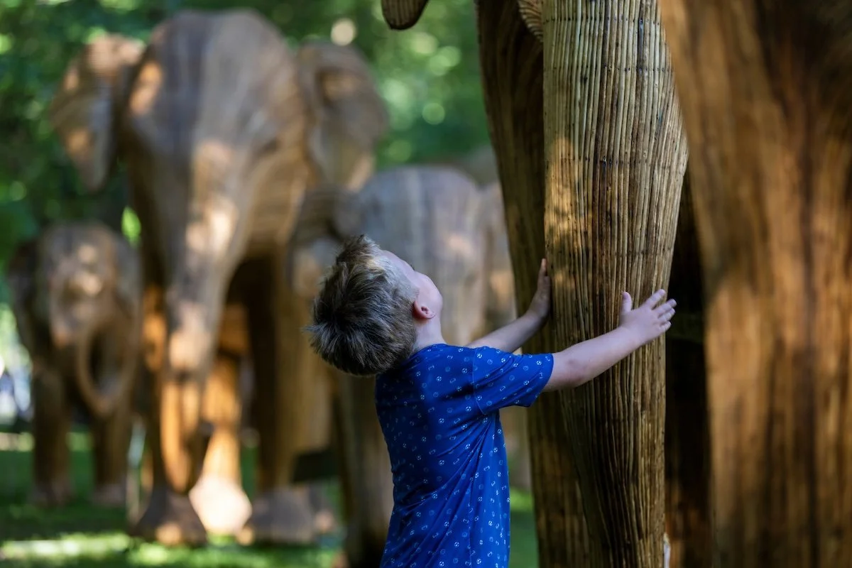 260807_Elephants25 copy.jpg