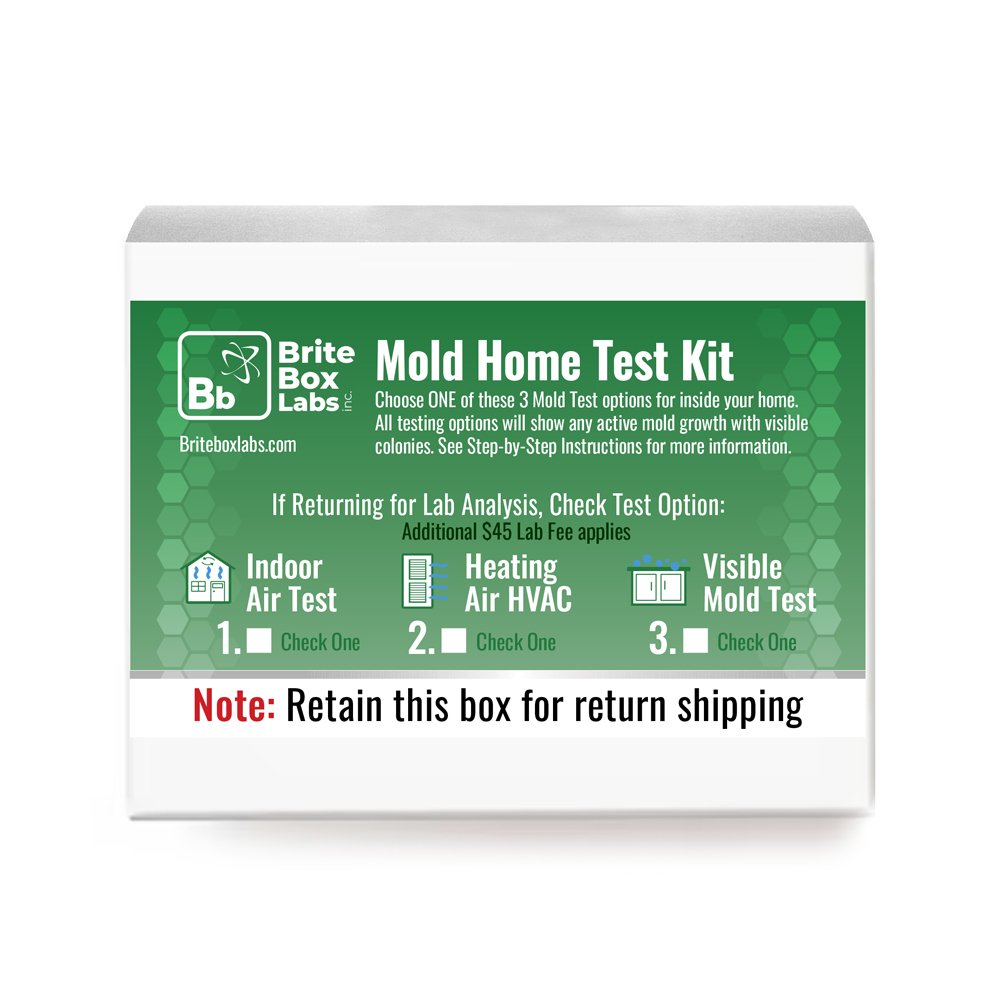 Mold-Surface-BACK_BB.jpg