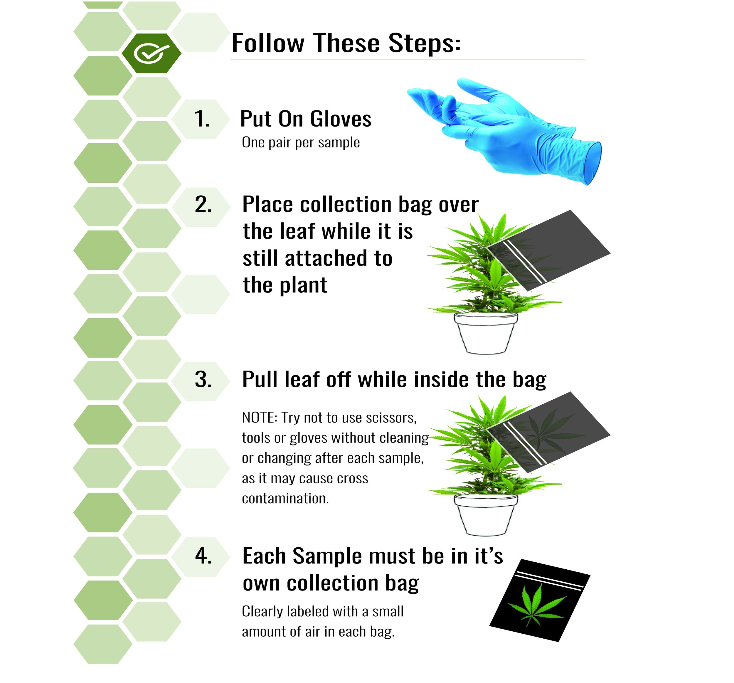 BB-02_Plant_Health_Brochure-BlueGLOVES copy.jpg