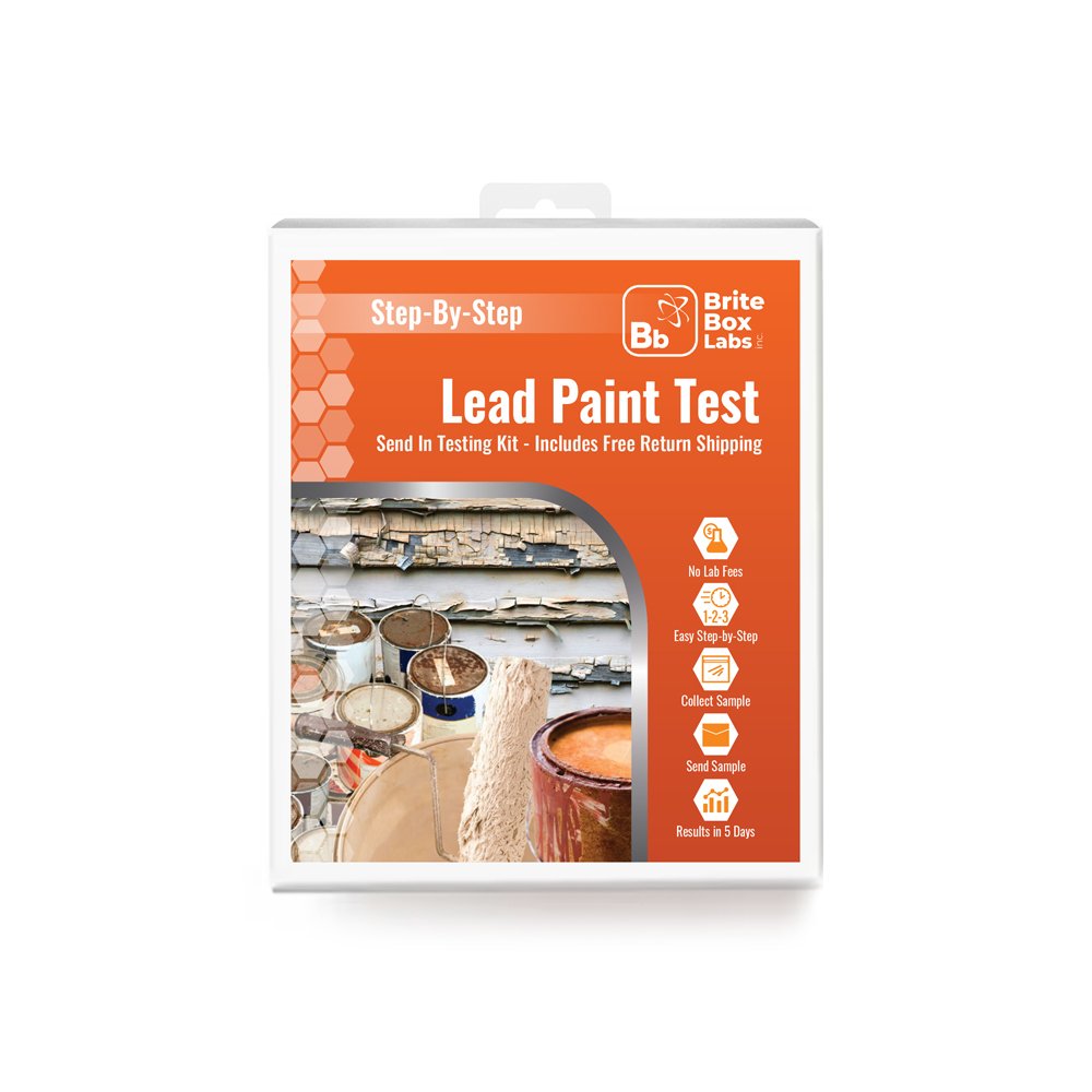 Lead-in-Paint-front.jpg