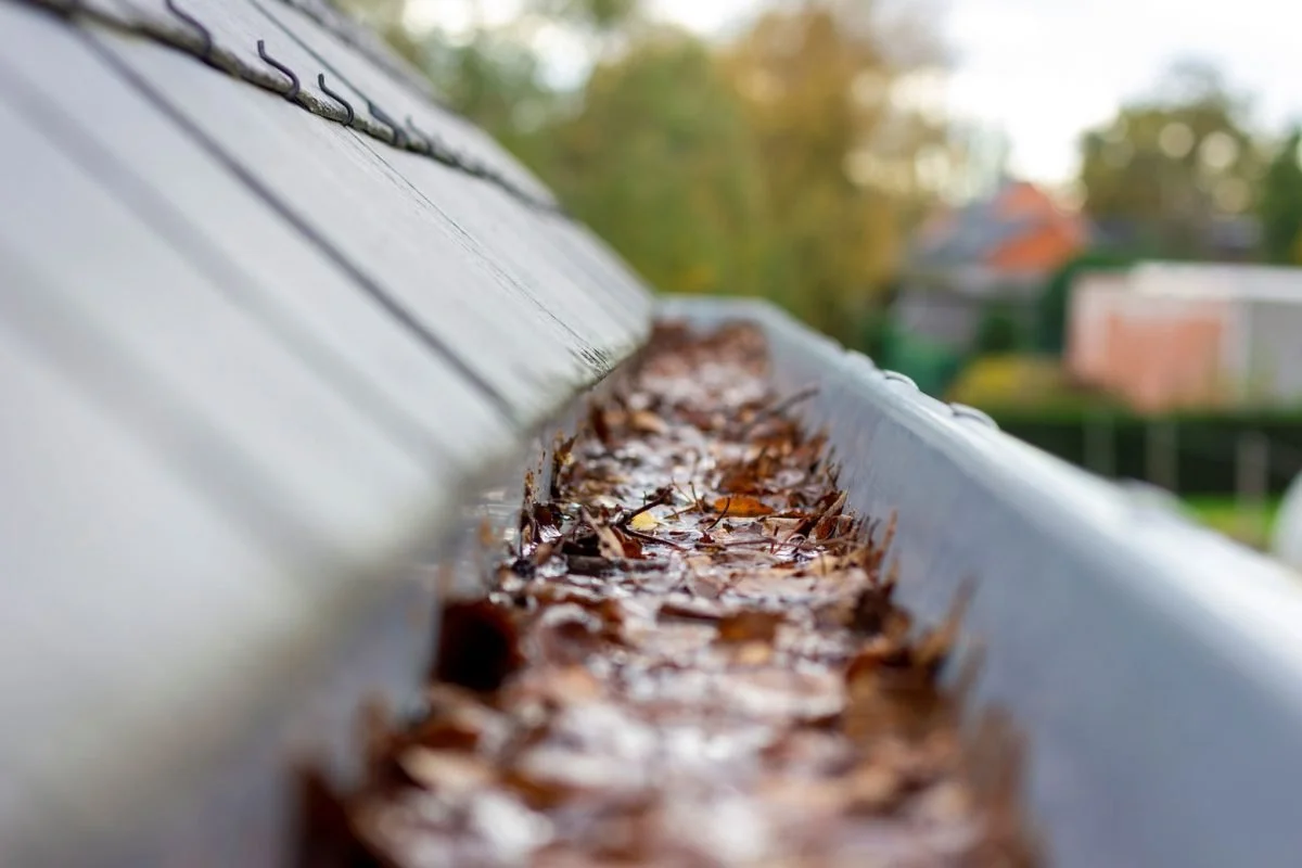 gutter-cleaning-services_low_rez-1200x800.jpg