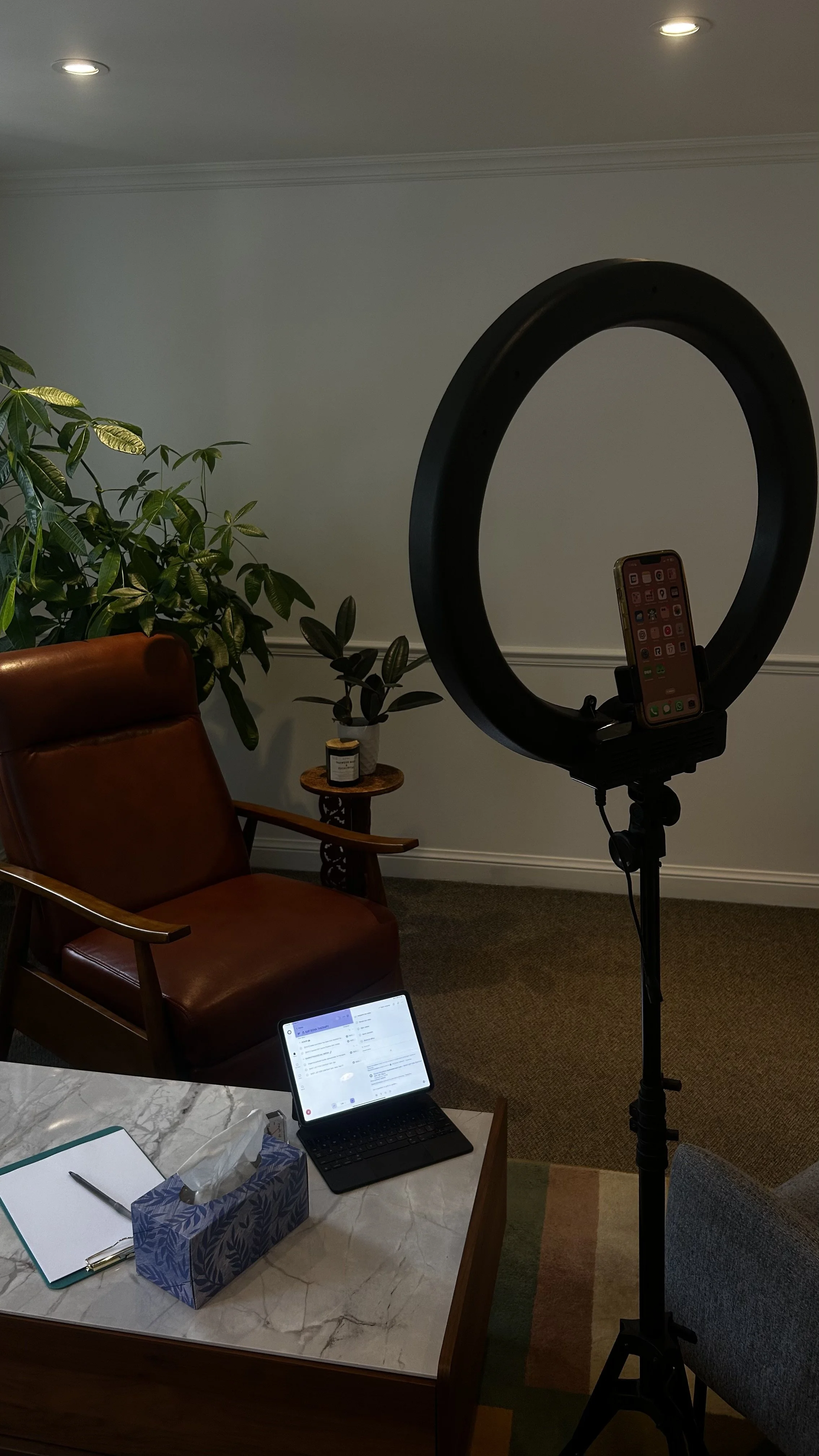 Indoor office or conference room setup with a ring light on a stand, a laptop on the table, a leather armchair, plants, and a side table with a candle and decorative item.
