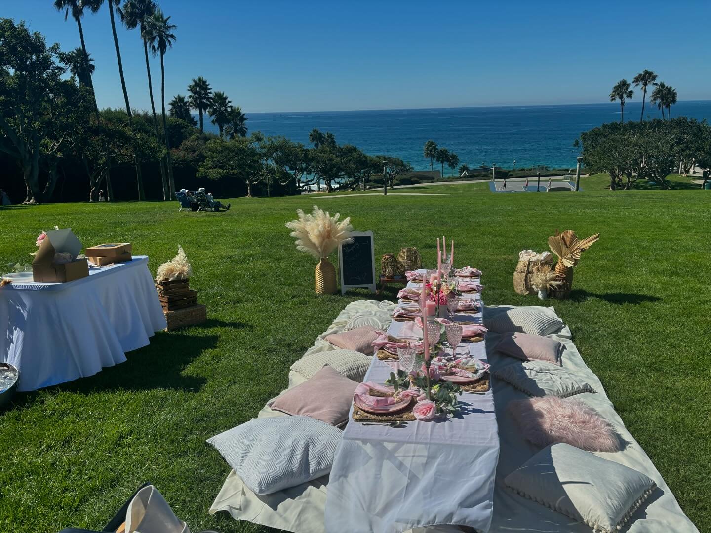 Sweet sixteen with sunny skies! 

#sweetixteen #partypicnic #birthdaypicnics #parkvibes #sunnyskiescelebration #pinkandpretty #birthdayinpink