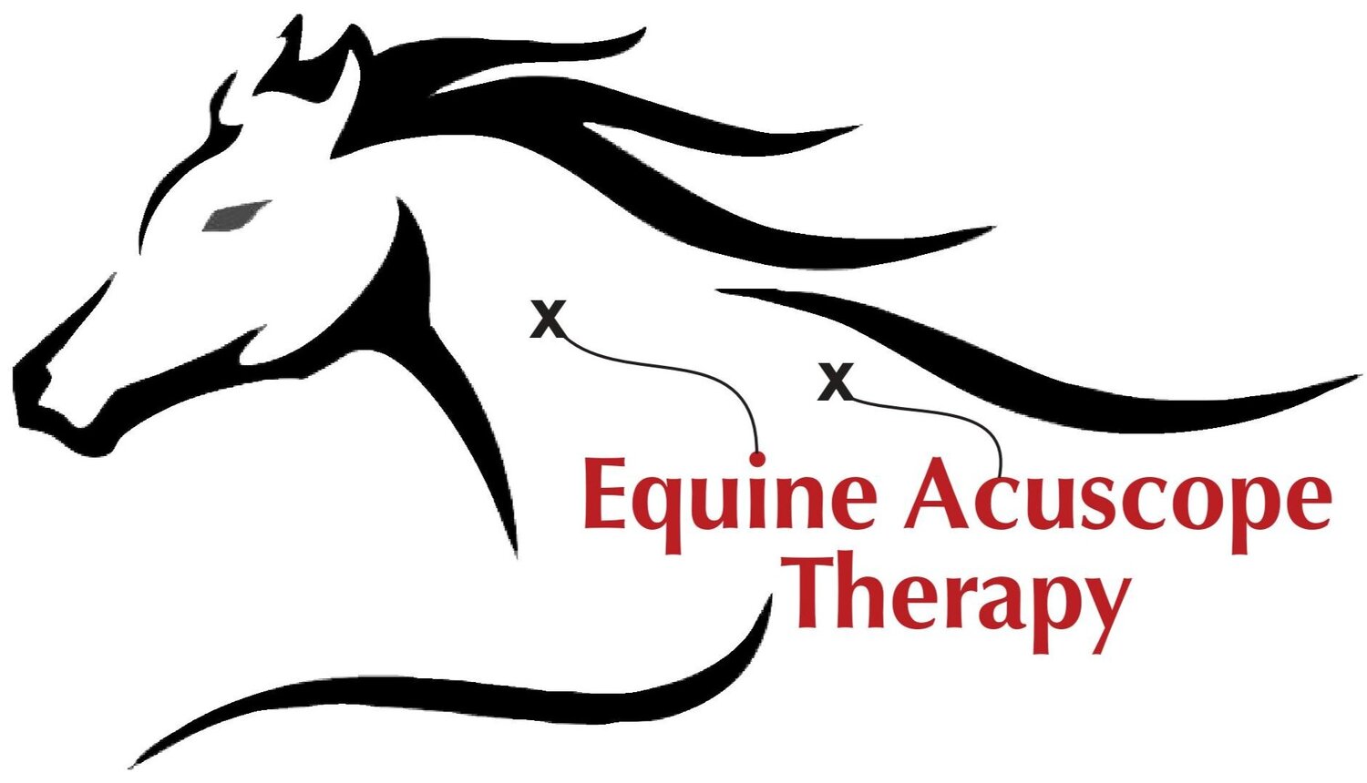 Equine Acuscope Therapy 