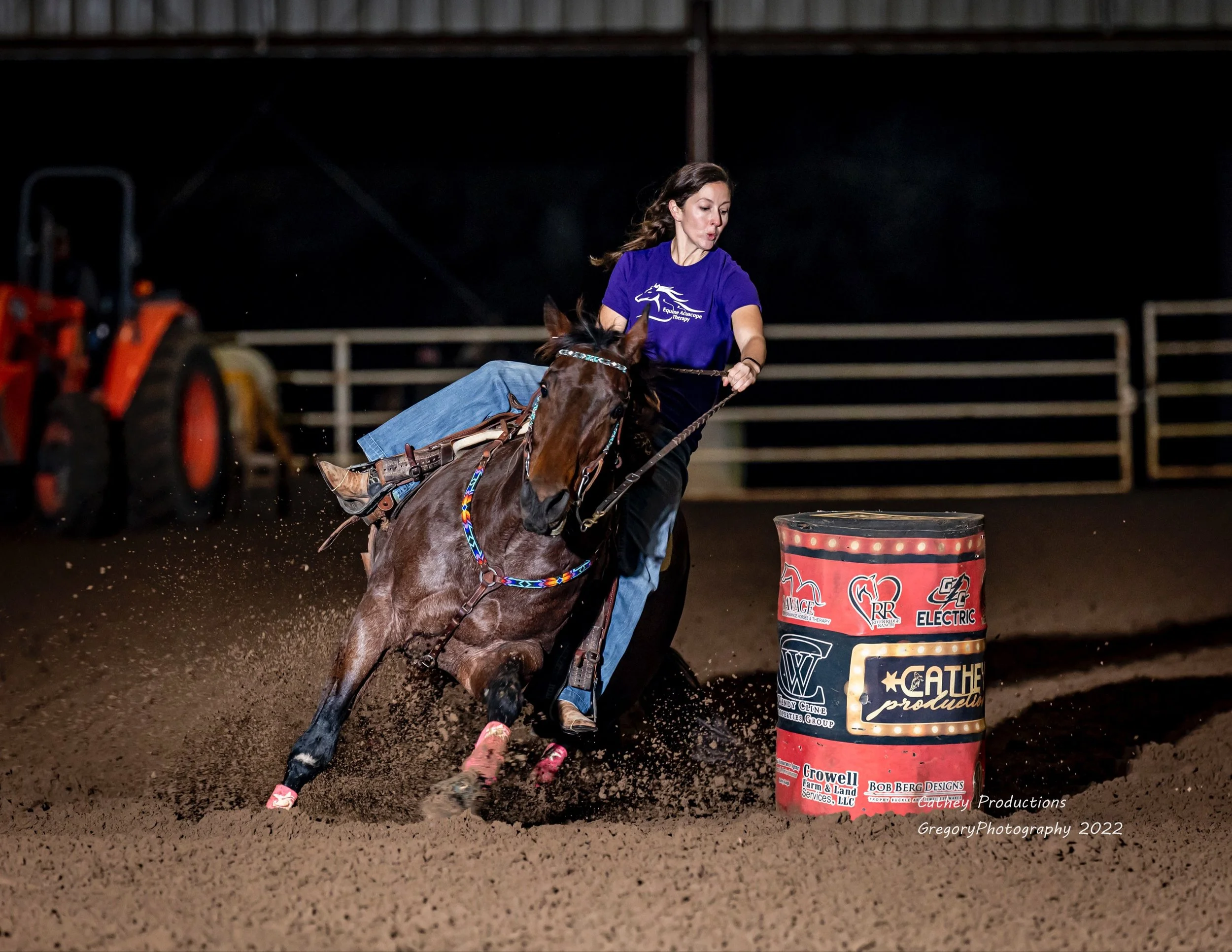Team 1 — Equine Acuscope Therapy