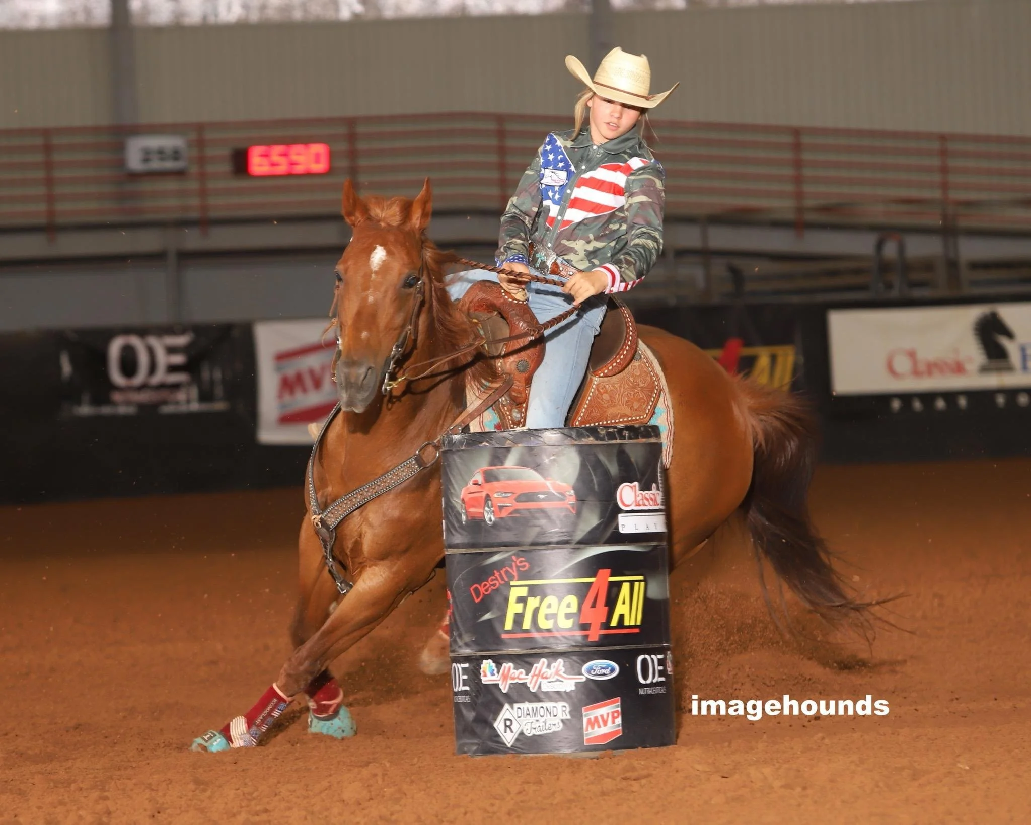 Team 1 — Equine Acuscope Therapy