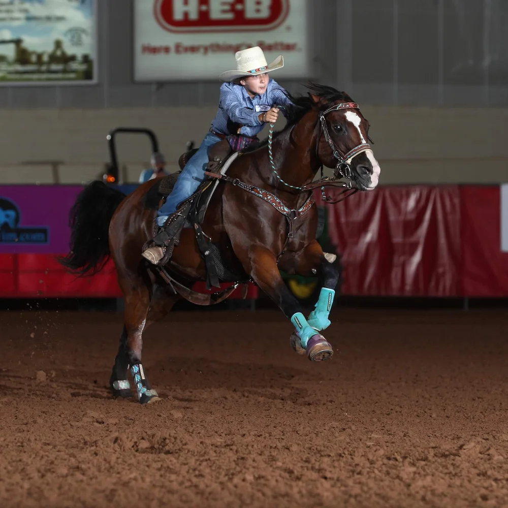 Team 1 — Equine Acuscope Therapy