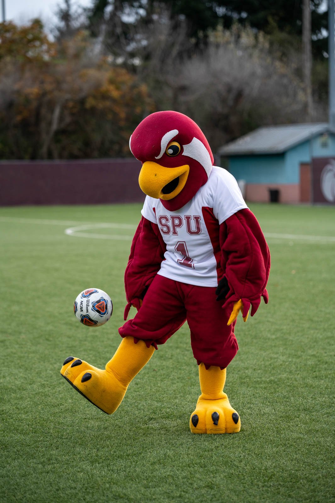 wsoc_11_20_21_-71.jpg
