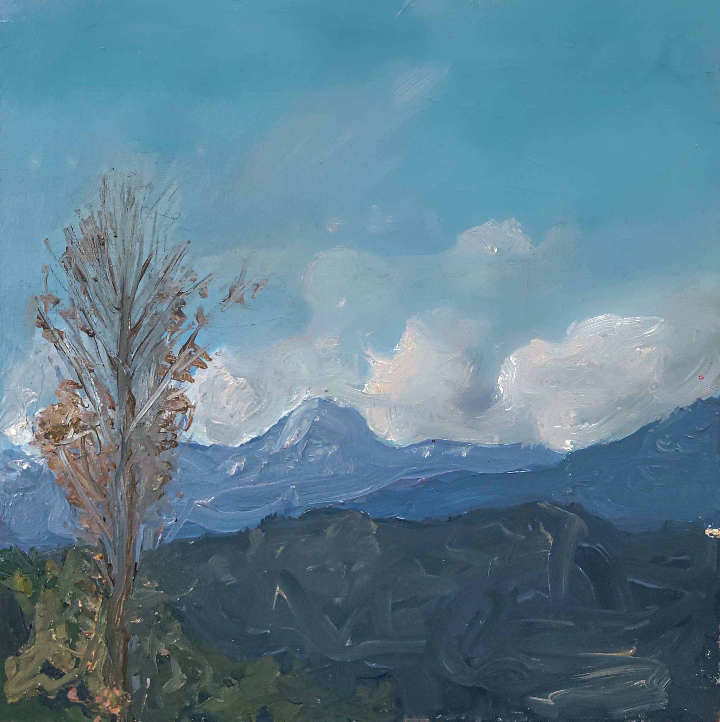 Port Moody Grouse View