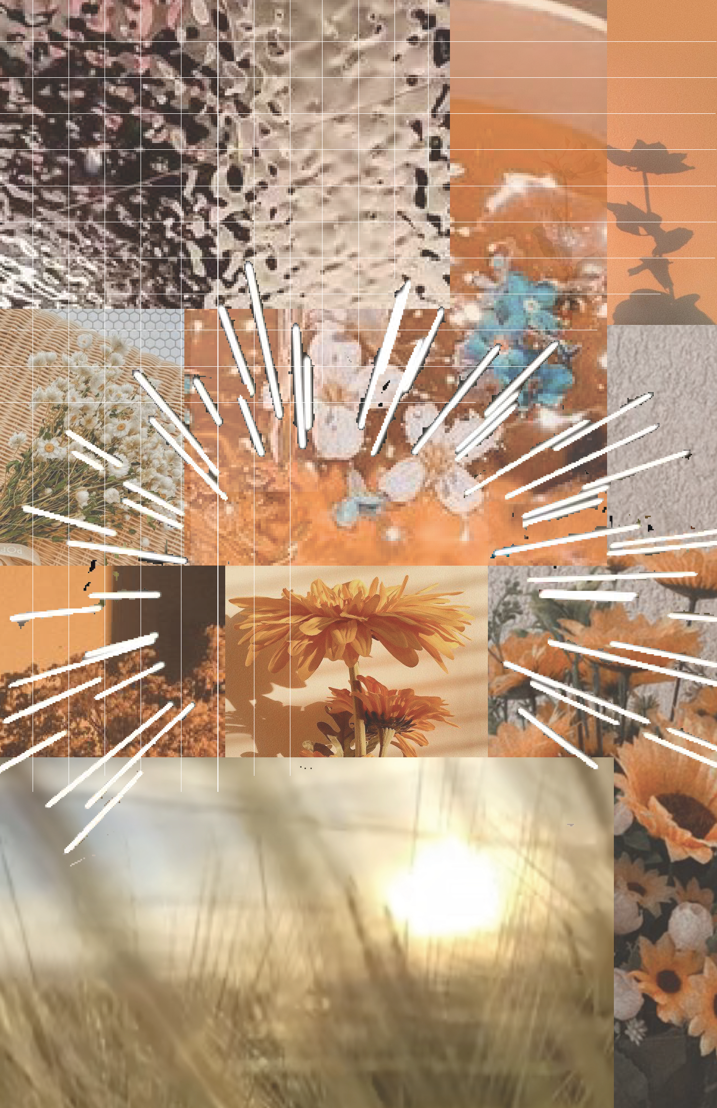 Collage 2_revised.png