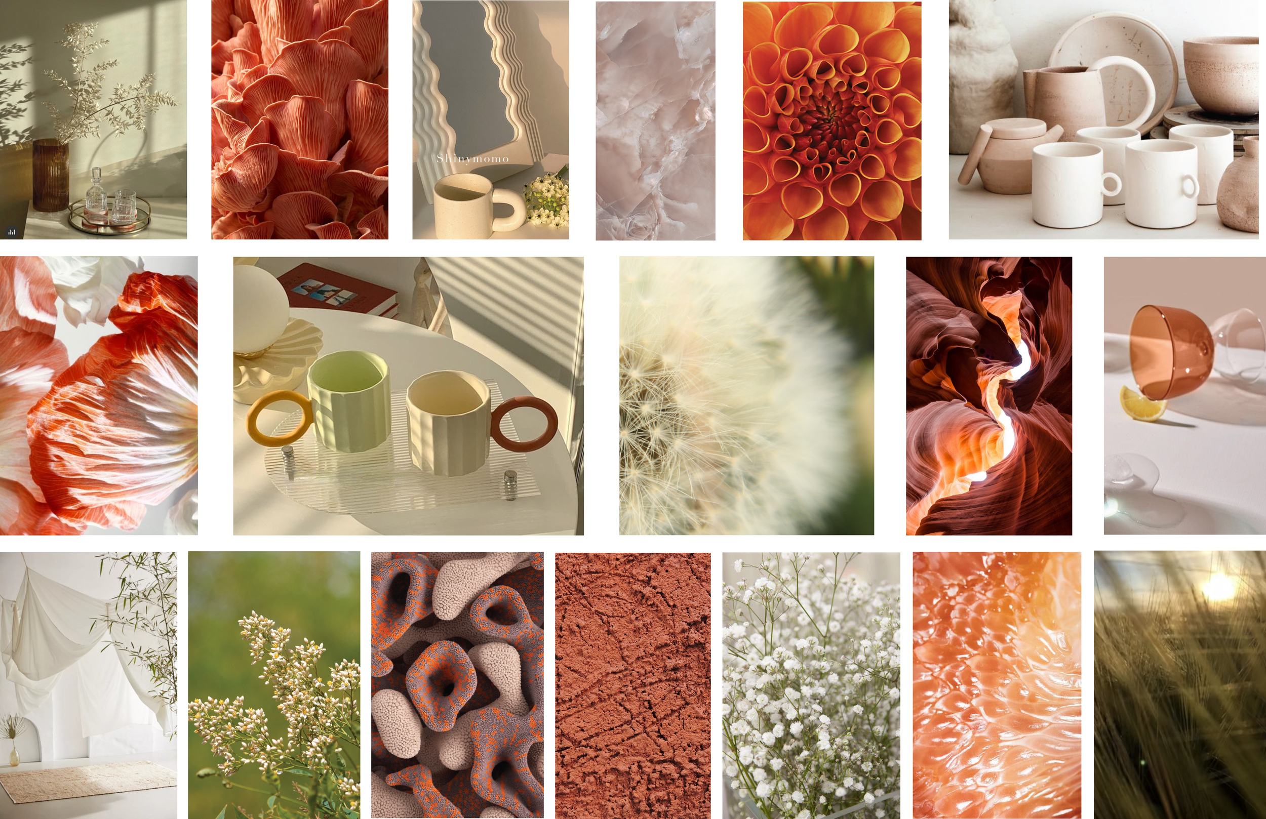 Inspiration Board_Draft 5.png