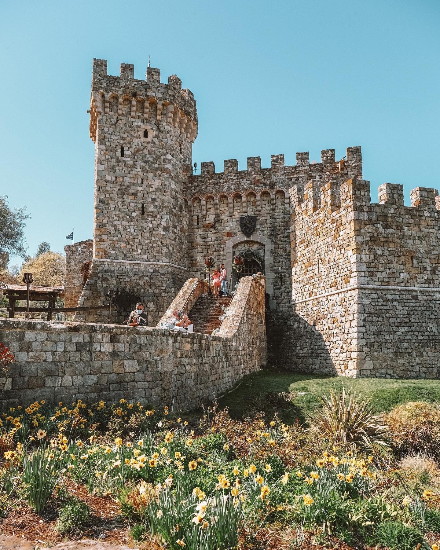 Sharing this unique Castle Winery in California. It&rsquo;s one of the most popular wineries here in Napa Valley because of its unique location and stunning views. If you want tips before visiting this winery, check out my latest YouTube video. Link 